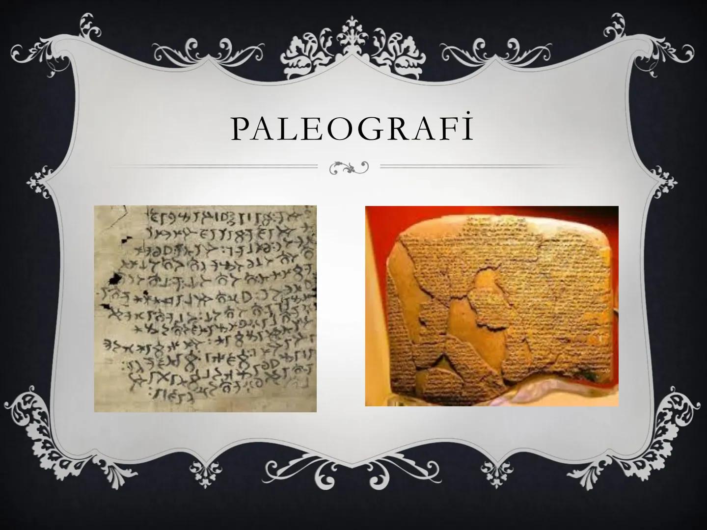 # Tarih
Look More # EKOLOJİ
❖Ekoloji, canlıların birbirleri ve çevreleri ile olan ilişkilerini inceleten
ve doğanın korunmasına yönelik ça