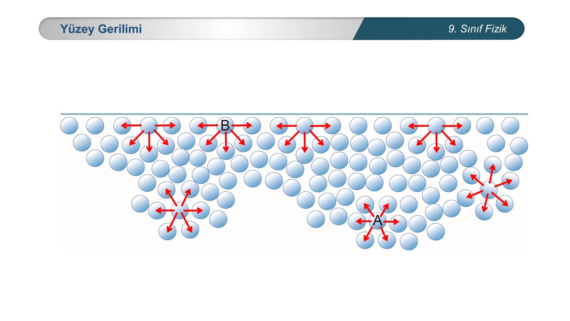 *
ETİ MİLLİ EĞ
EĞİTİM
*
DO
IM BAKANLIĞI
*
TÜRKİYE CUMHURİYE
FİZİK
9. SINIF
Madde ve Özellikleri
Dayanıklılık, Adezyon, Kohezyon
Yüzey Gerili