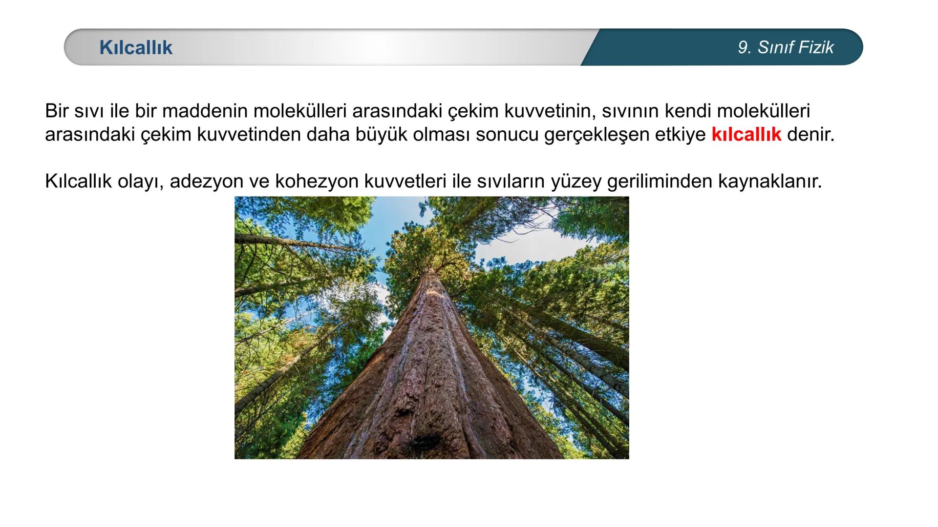 *
ETİ MİLLİ EĞ
EĞİTİM
*
DO
IM BAKANLIĞI
*
TÜRKİYE CUMHURİYE
FİZİK
9. SINIF
Madde ve Özellikleri
Dayanıklılık, Adezyon, Kohezyon
Yüzey Gerili