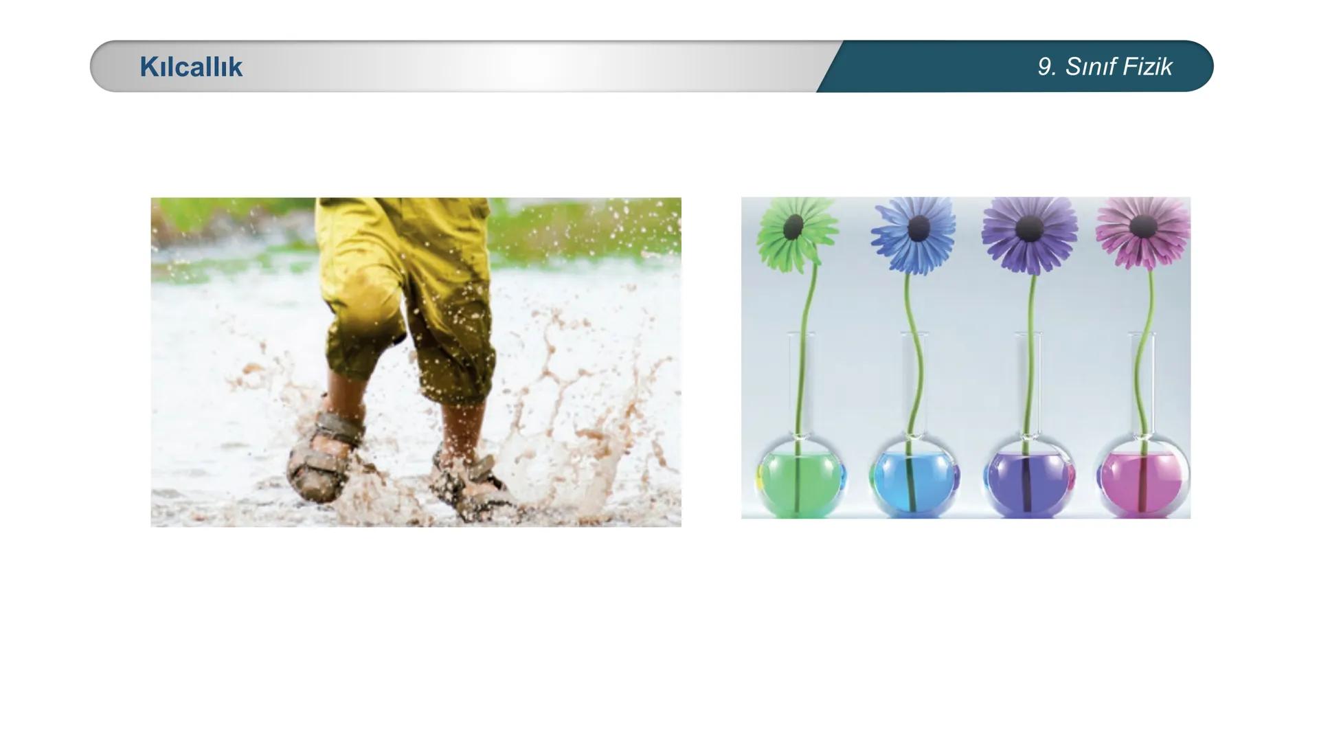 *
ETİ MİLLİ EĞ
EĞİTİM
*
DO
IM BAKANLIĞI
*
TÜRKİYE CUMHURİYE
FİZİK
9. SINIF
Madde ve Özellikleri
Dayanıklılık, Adezyon, Kohezyon
Yüzey Gerili