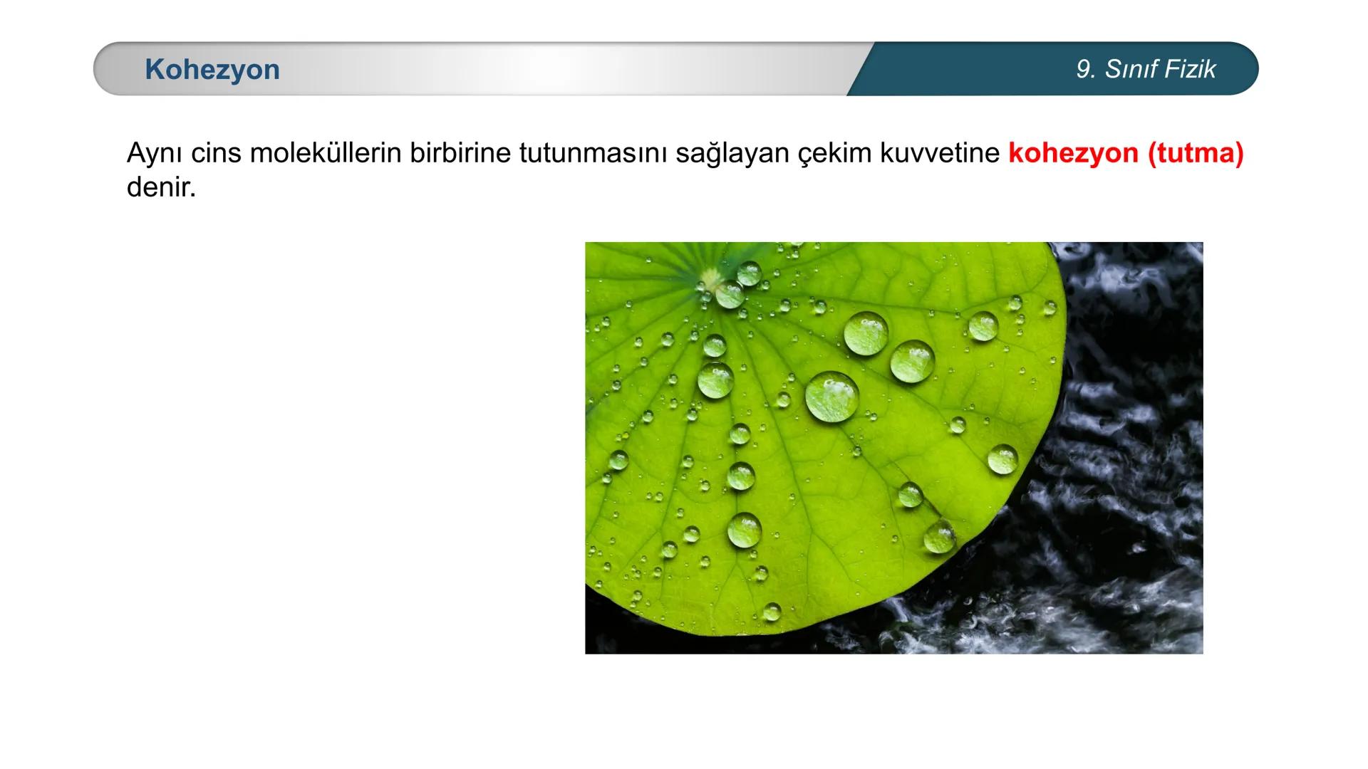 *
ETİ MİLLİ EĞ
EĞİTİM
*
DO
IM BAKANLIĞI
*
TÜRKİYE CUMHURİYE
FİZİK
9. SINIF
Madde ve Özellikleri
Dayanıklılık, Adezyon, Kohezyon
Yüzey Gerili