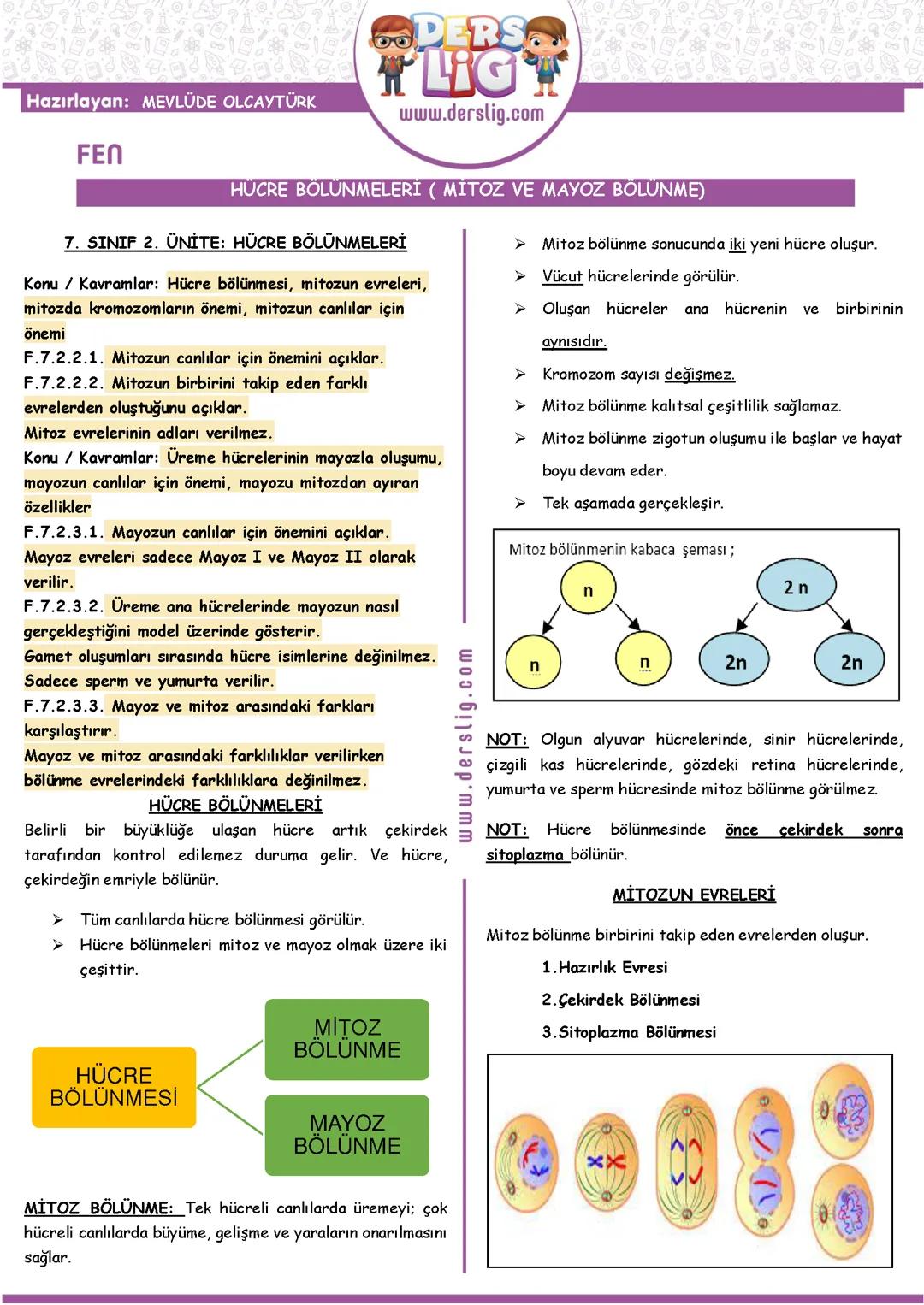 7. Sınıf fen bilimleri hücre bölünmeleri konusu·★★«∆¶×÷Ω√♥