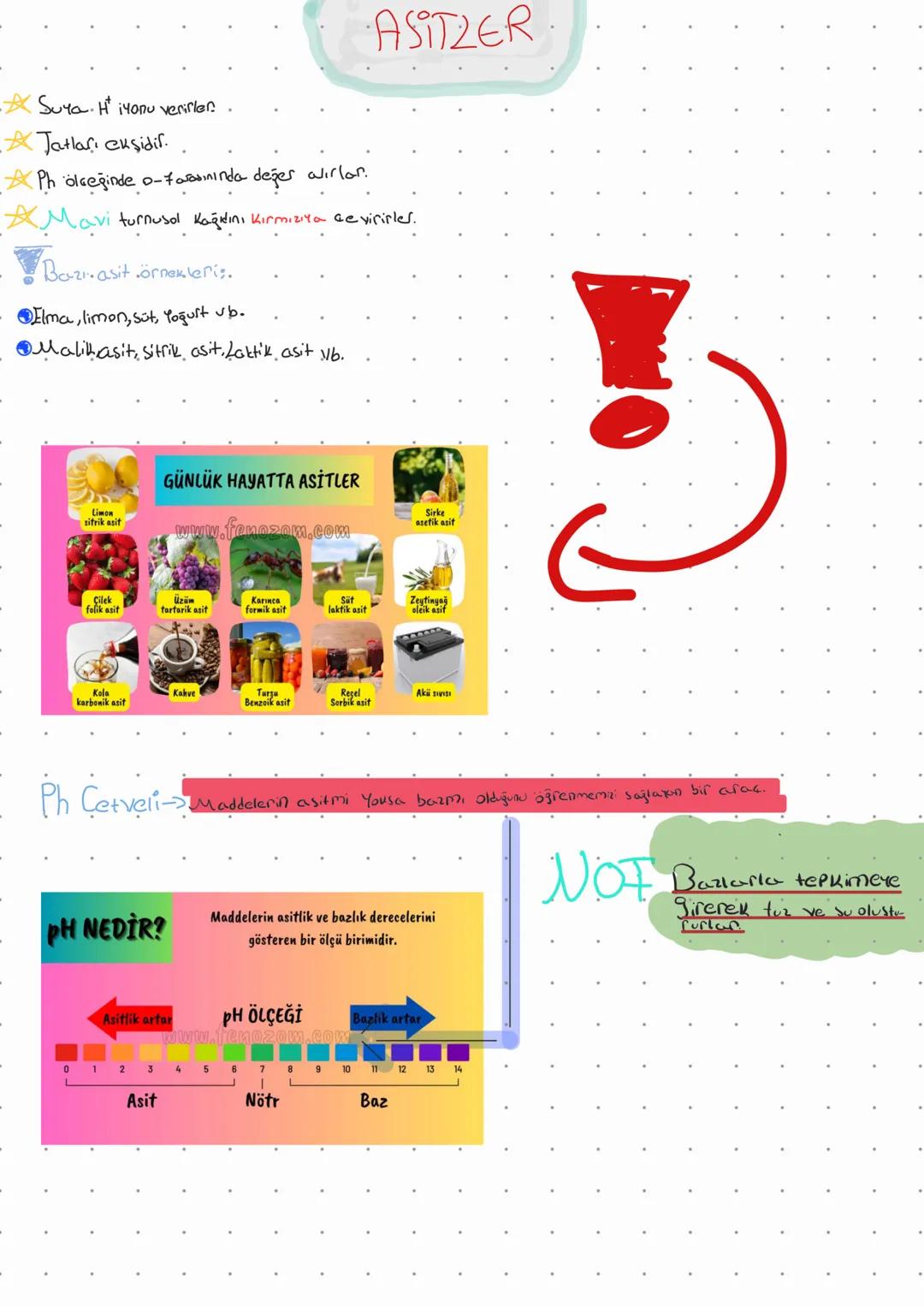 # ASITZER
- Suya. H iyonu verirler.
Jatları ekşidir.
Ph ölçeğinde o-fasınında değer alırlar.
Mavi turnusol Kağıdını Kırmızıya çevirirler