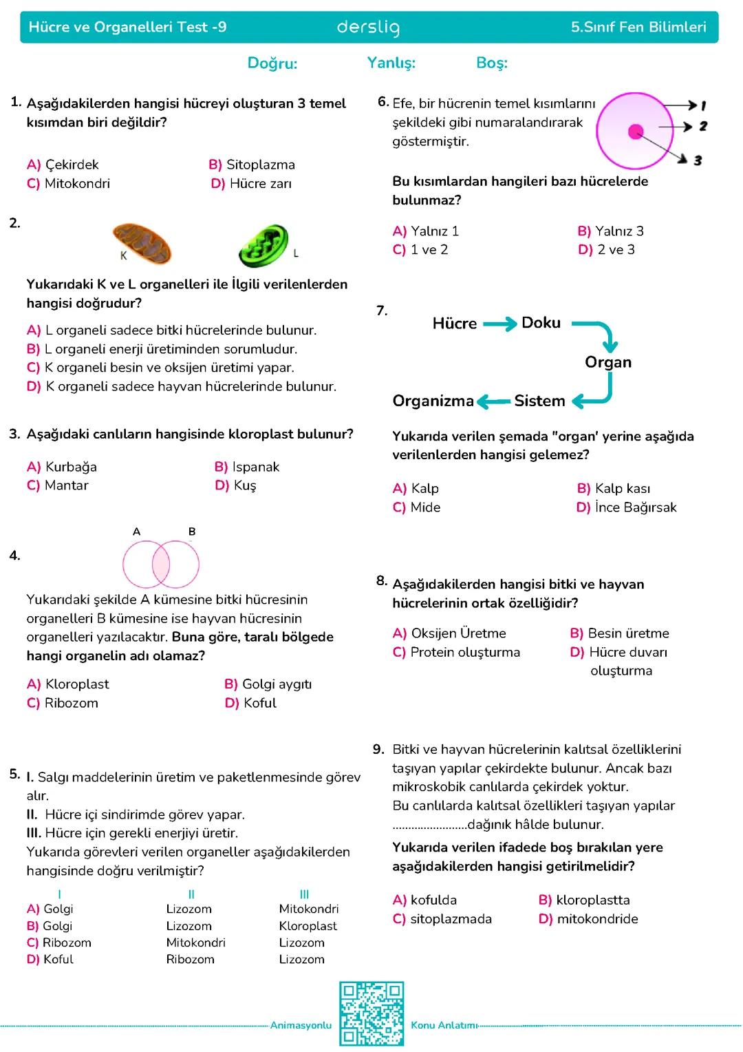 Hücre ve Organaleler Testi
