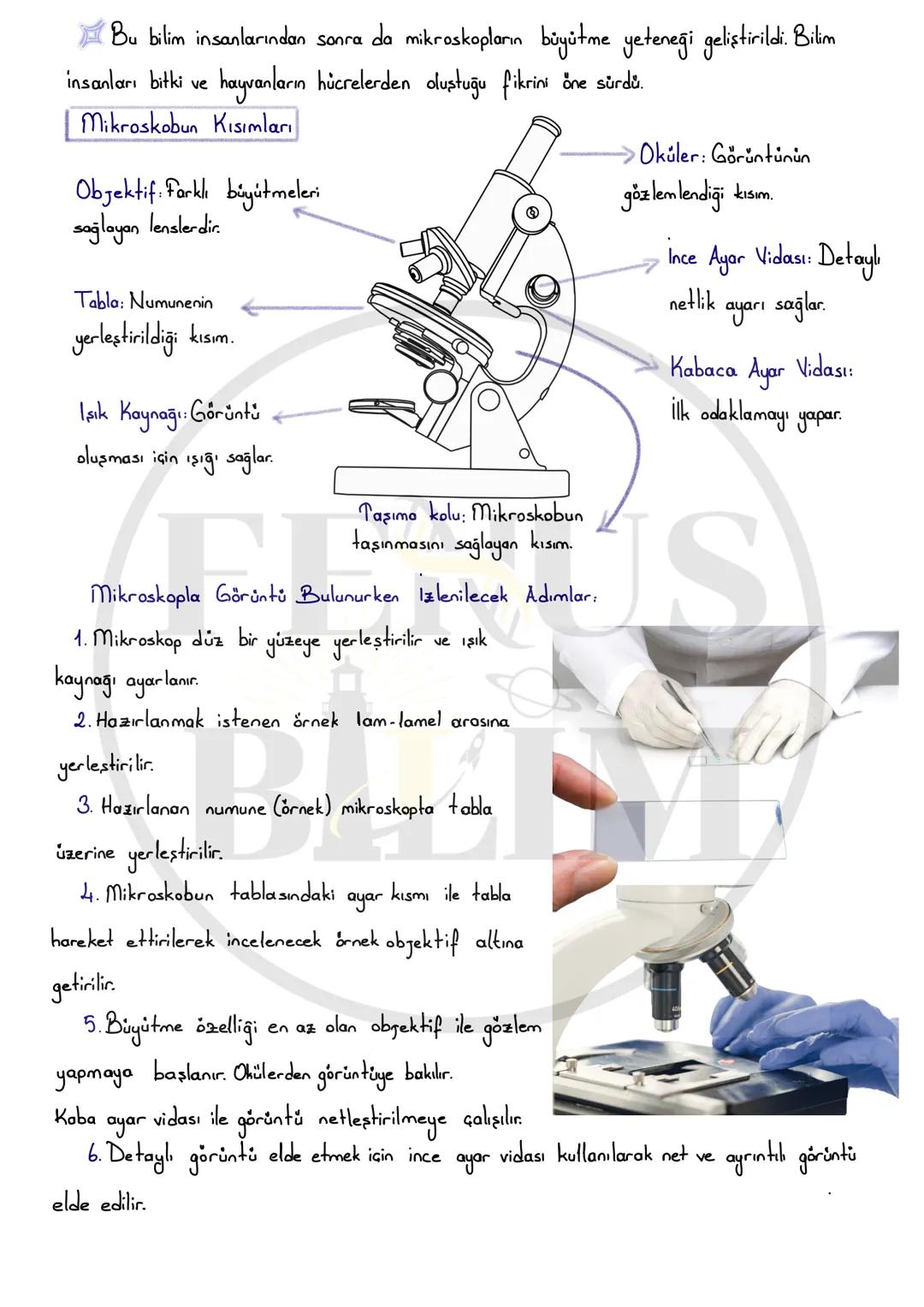 # HÜCRE VE ORGANELLER
Öğrenme Çıktıları:
FB.5.3.1.1. Bitki ve hayvan hücrelerinin temel kısımları ve özellikleri açısından
karşılaştırabilm