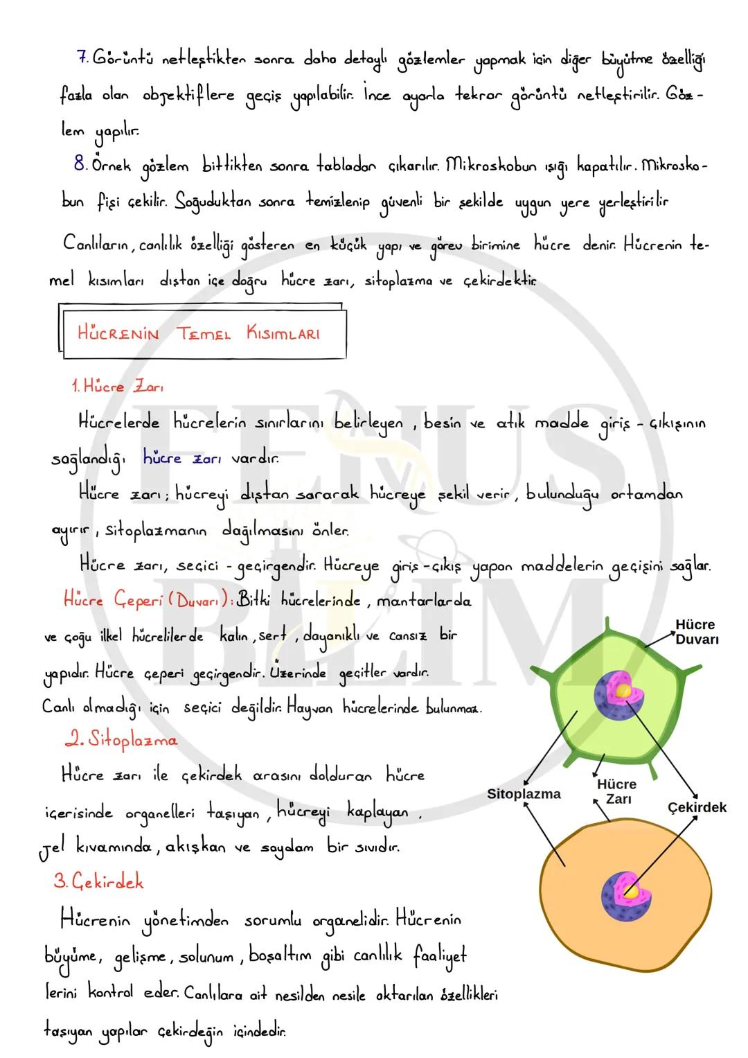 # HÜCRE VE ORGANELLER
Öğrenme Çıktıları:
FB.5.3.1.1. Bitki ve hayvan hücrelerinin temel kısımları ve özellikleri açısından
karşılaştırabilm