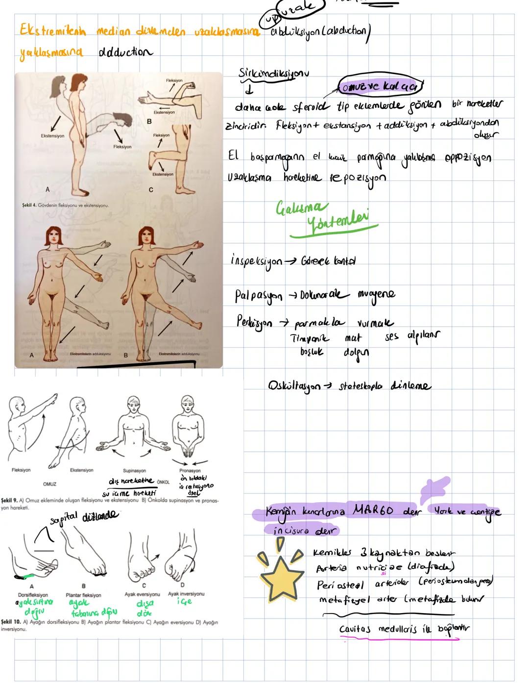 Insan vücudunu bölgelere göre inceleyer anatomi yöntemine topgorafik veja repional yöntem denir
Hayvan pruplarının karşılaştırılarak incelen