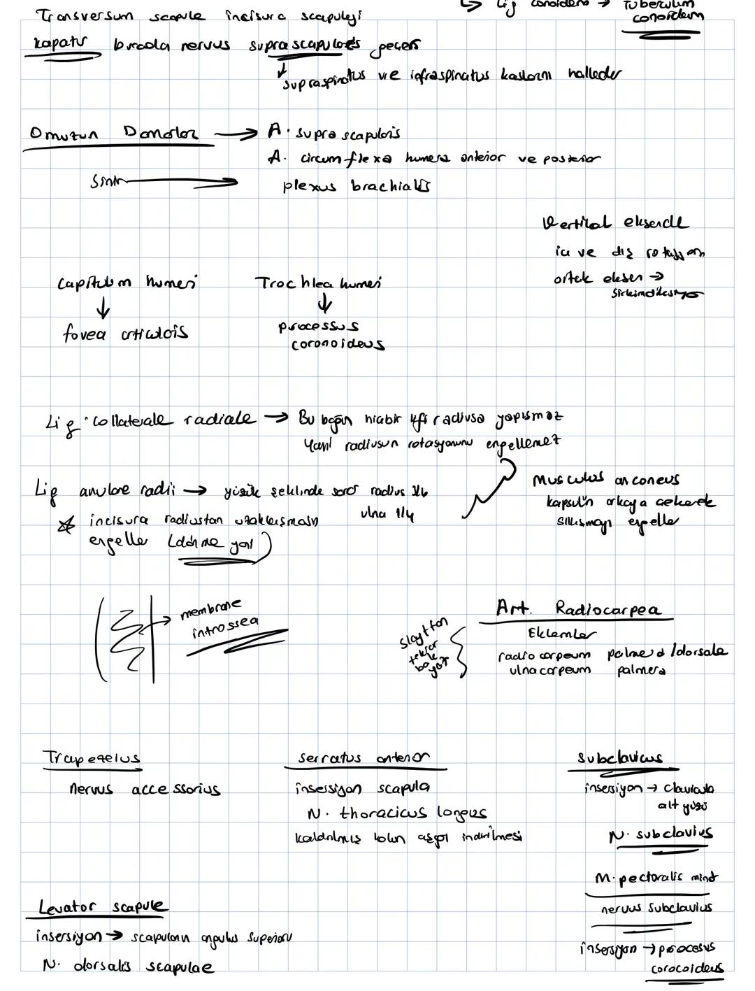 Insan vücudunu bölgelere göre inceleyer anatomi yöntemine topgorafik veja repional yöntem denir
Hayvan pruplarının karşılaştırılarak incelen