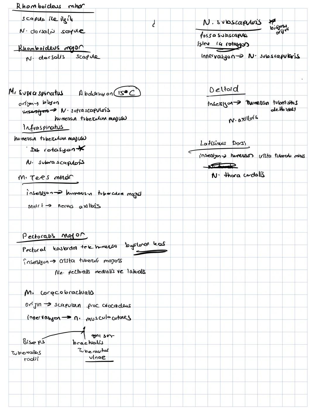 Insan vücudunu bölgelere göre inceleyer anatomi yöntemine topgorafik veja repional yöntem denir
Hayvan pruplarının karşılaştırılarak incelen