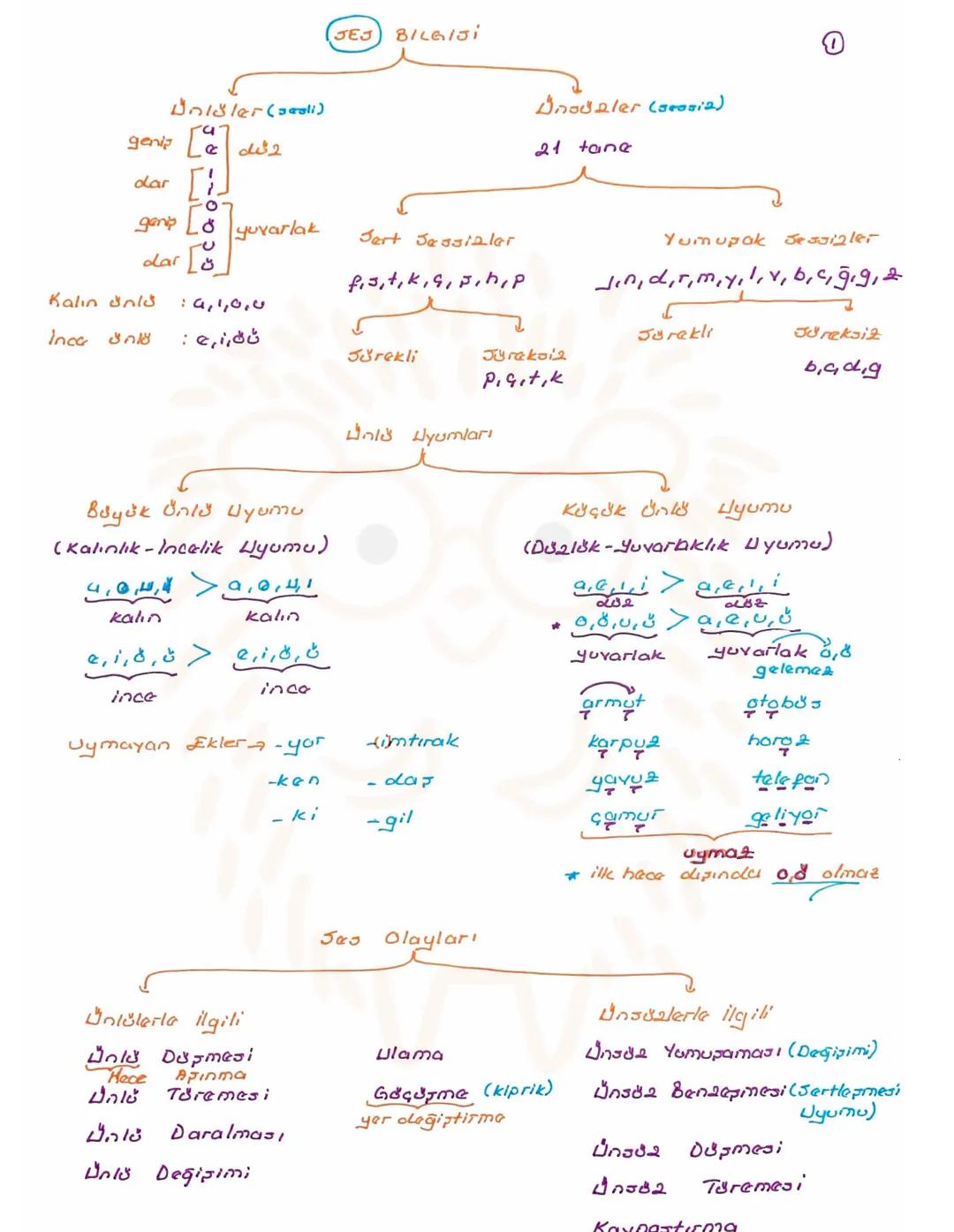 isim (AP)
Varlıklara Verilişlerine
Varlıkların Oluşlarına
Varlıkların Jayılarına
Göre İsimler
Gdre lainler
Gdre laimier
Seel Adlar
Jomut A