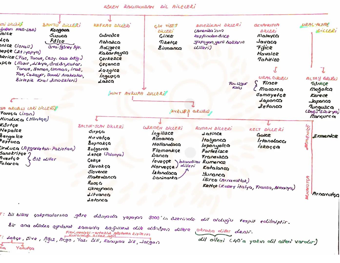 isim (AP)
Varlıklara Verilişlerine
Varlıkların Oluşlarına
Varlıkların Jayılarına
Göre İsimler
Gdre lainler
Gdre laimier
Seel Adlar
Jomut A