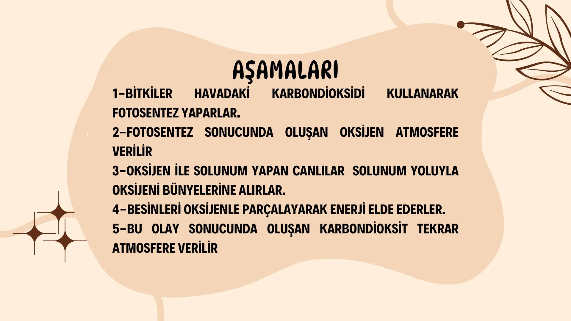 8.SINIF
FEN BİLİMLERİ # MADDE
# DÖNGÜSÜ 1-MADDE DÖNGÜSÜ NEDİR?
• DOĞADA CANLILAR YAŞAMLARINI SÜRDÜRMEK
İÇİN ÇEVRELERİNDEKİ DİĞER VARLIKLARLA