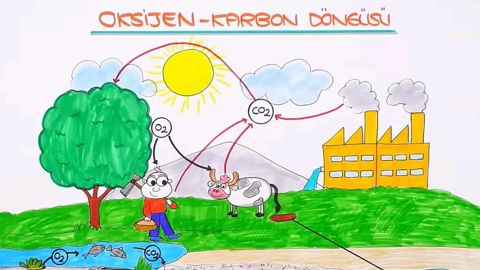 8.SINIF
FEN BİLİMLERİ # MADDE
# DÖNGÜSÜ 1-MADDE DÖNGÜSÜ NEDİR?
• DOĞADA CANLILAR YAŞAMLARINI SÜRDÜRMEK
İÇİN ÇEVRELERİNDEKİ DİĞER VARLIKLARLA