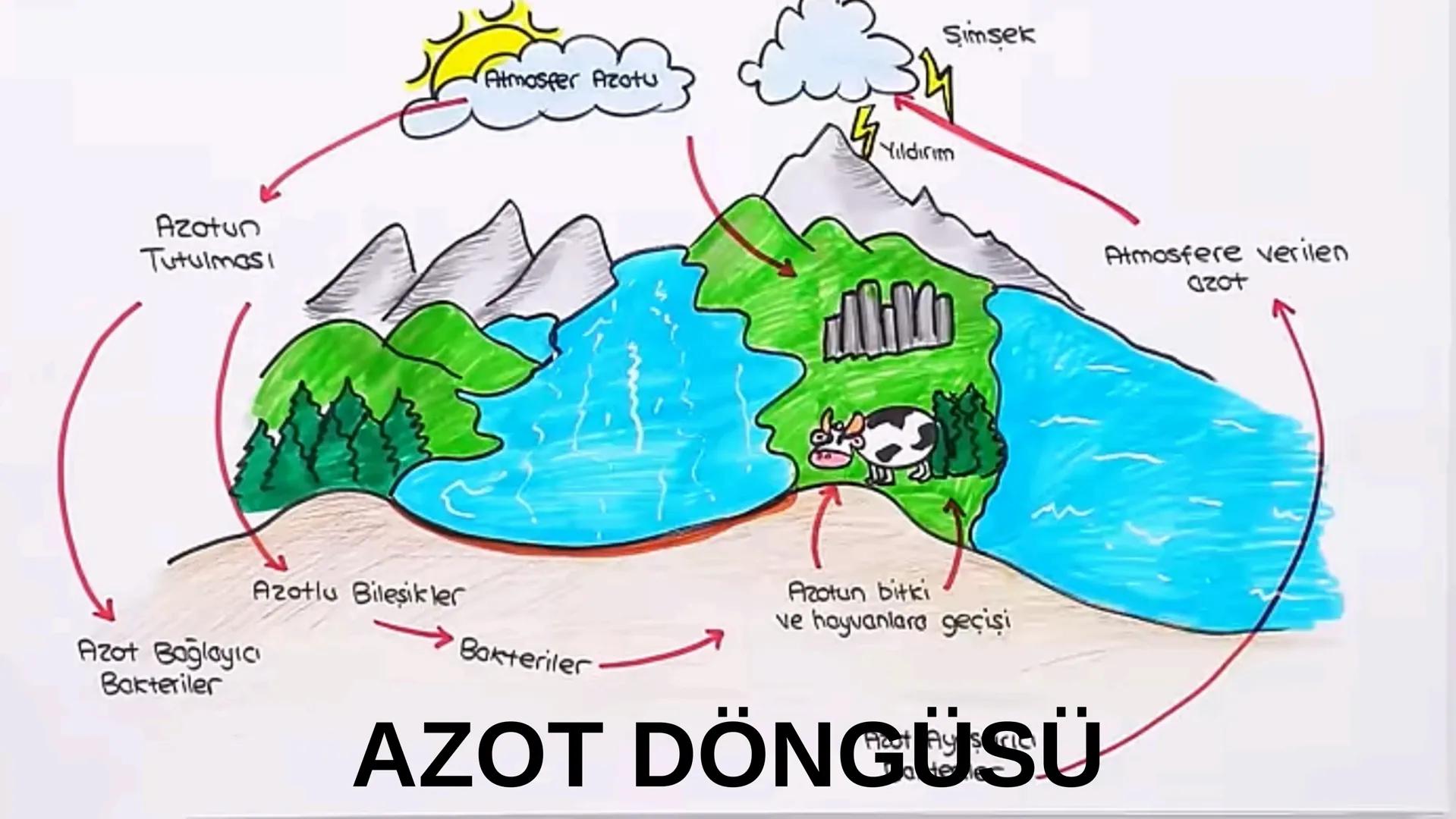 8.SINIF
FEN BİLİMLERİ # MADDE
# DÖNGÜSÜ 1-MADDE DÖNGÜSÜ NEDİR?
• DOĞADA CANLILAR YAŞAMLARINI SÜRDÜRMEK
İÇİN ÇEVRELERİNDEKİ DİĞER VARLIKLARLA
