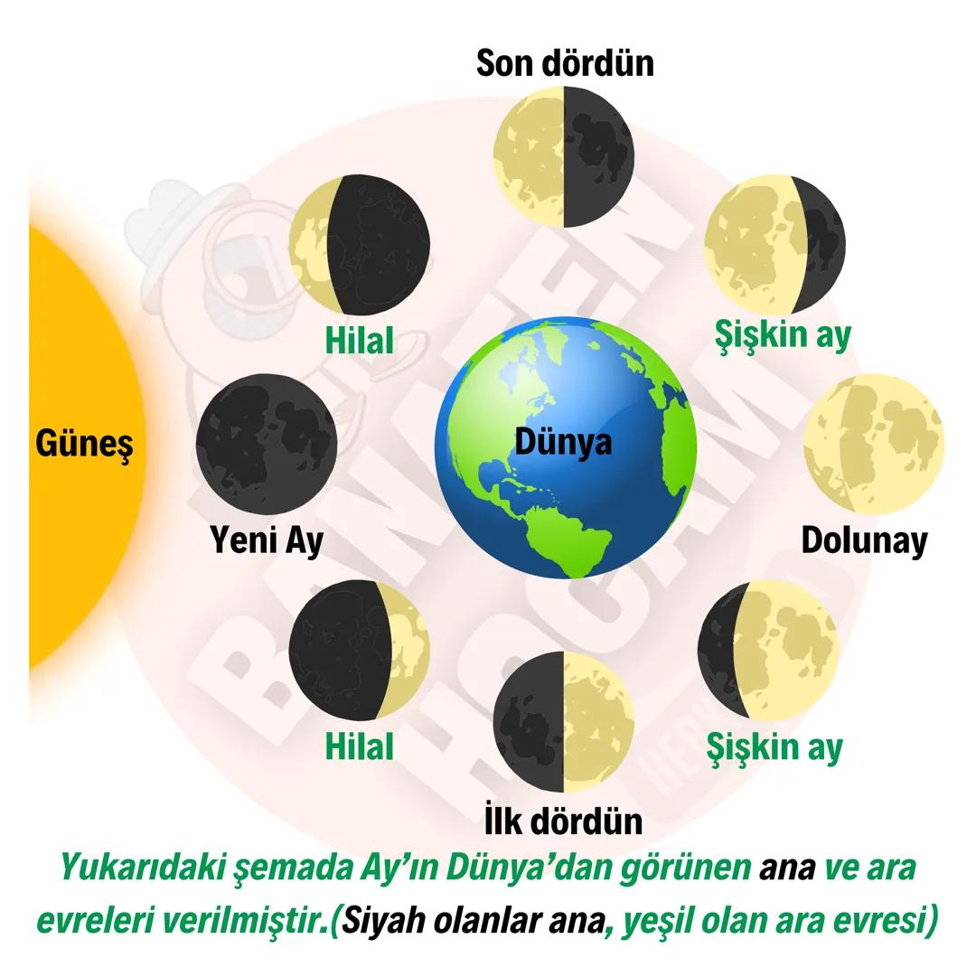 5.SINIF
FEN BİLİMLERİ
1.ÜNİTE
GÖK YÜZÜNDEKİ KOMŞULARIMIZ
VE BİZ
ABANAFEN ÖZETİM-3
GÖK YÜZÜNDEKİ KOMŞUMUZ:AY
AY'IN EVRELERİ
banafenhoca