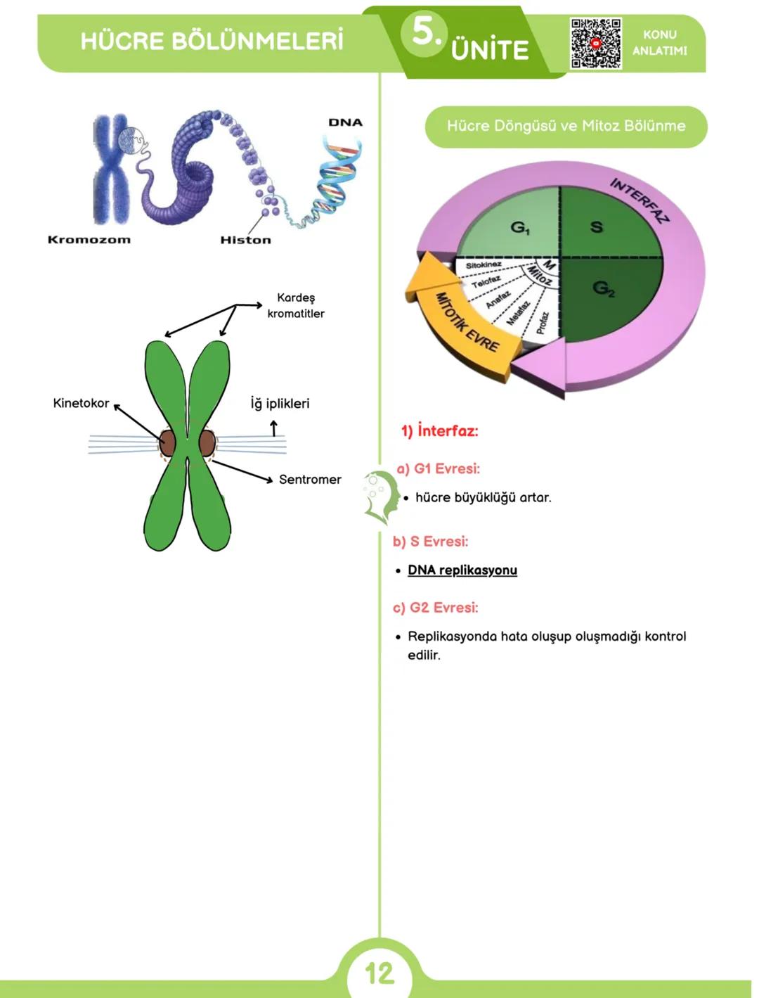 2024
BİYOLOJİ
DERECE NOTLARI
6'DA 6!
MEB ÖZETLİ 64 SAYFALIK TAM HAL
ÜCRETSİZ KONU BİTİRME KAMPI + EXCEL
DERECEDEN PRATİK KONU ANLATIMLARI
TA