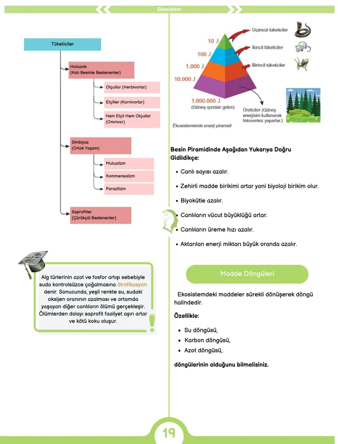 2024
BİYOLOJİ
DERECE NOTLARI
6'DA 6!
MEB ÖZETLİ 64 SAYFALIK TAM HAL
ÜCRETSİZ KONU BİTİRME KAMPI + EXCEL
DERECEDEN PRATİK KONU ANLATIMLARI
TA