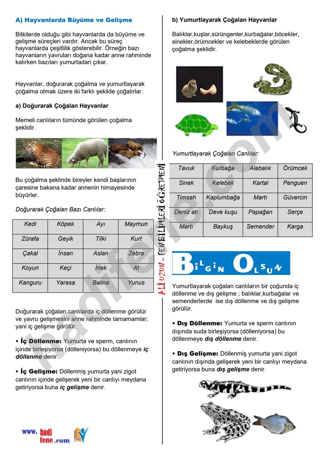7.SINIF 6.ÜNİTE
CANLILARDA
ÜREME, BÜYÜME VE
GELİŞME
BİTKİ VE HAYVANLARDA
ÜREME,BÜYÜME VE GELİŞME
Ali Hocayla
Hadi Fene
www.hadifene.com
Bitk