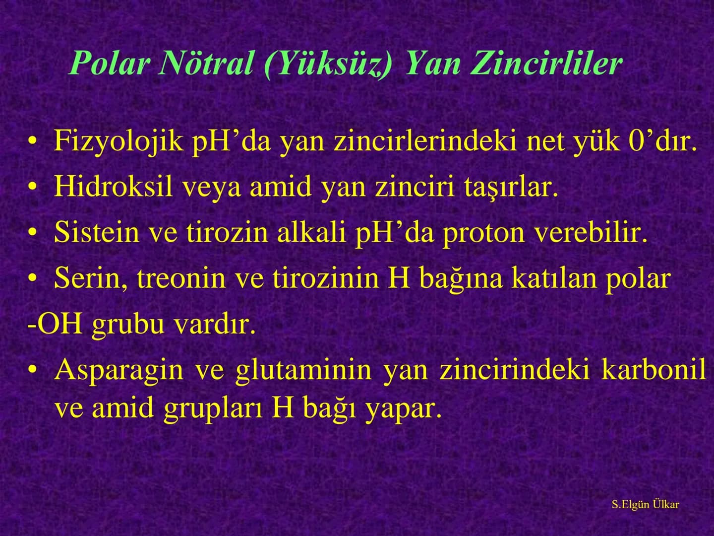 Amino asitler
Prof. Dr. Serenay ELGÜN ÜLKAR
Kaynak Kitaplar:
1- Tıbbi Biyokimya, Prof.Dr. Serenay E. Ülkar, 2017, Hipokrat Kitabevi
2- Har