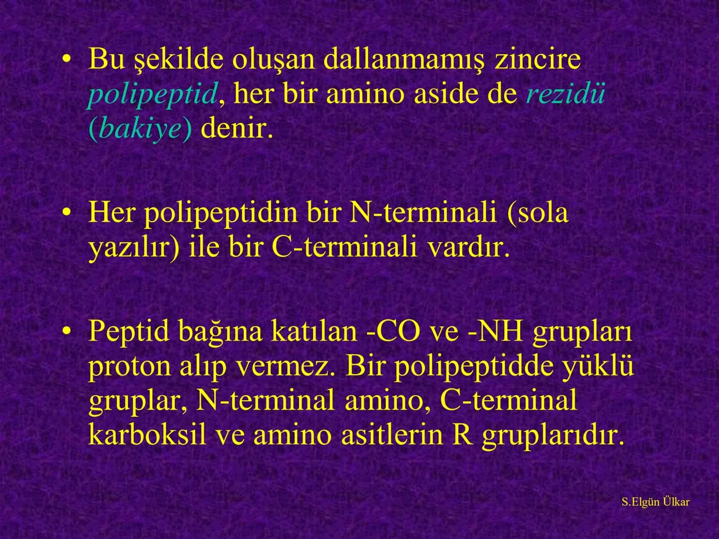 Amino asitler
Prof. Dr. Serenay ELGÜN ÜLKAR
Kaynak Kitaplar:
1- Tıbbi Biyokimya, Prof.Dr. Serenay E. Ülkar, 2017, Hipokrat Kitabevi
2- Har