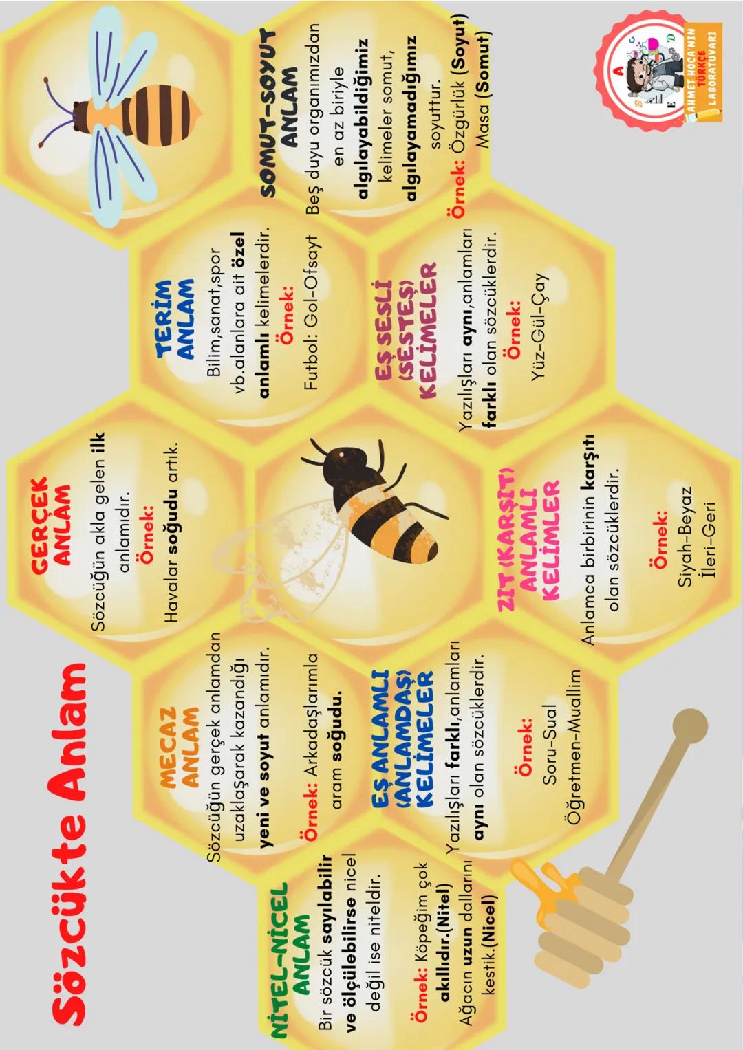 # 6.SINIF
# Yıldız Serisi
## Bilginle Yıldız gibi parla!
* Konu Anlatımı
* Çalışma Kağıtları
* Özgün Konu Testi
* Çıkmış Sorul