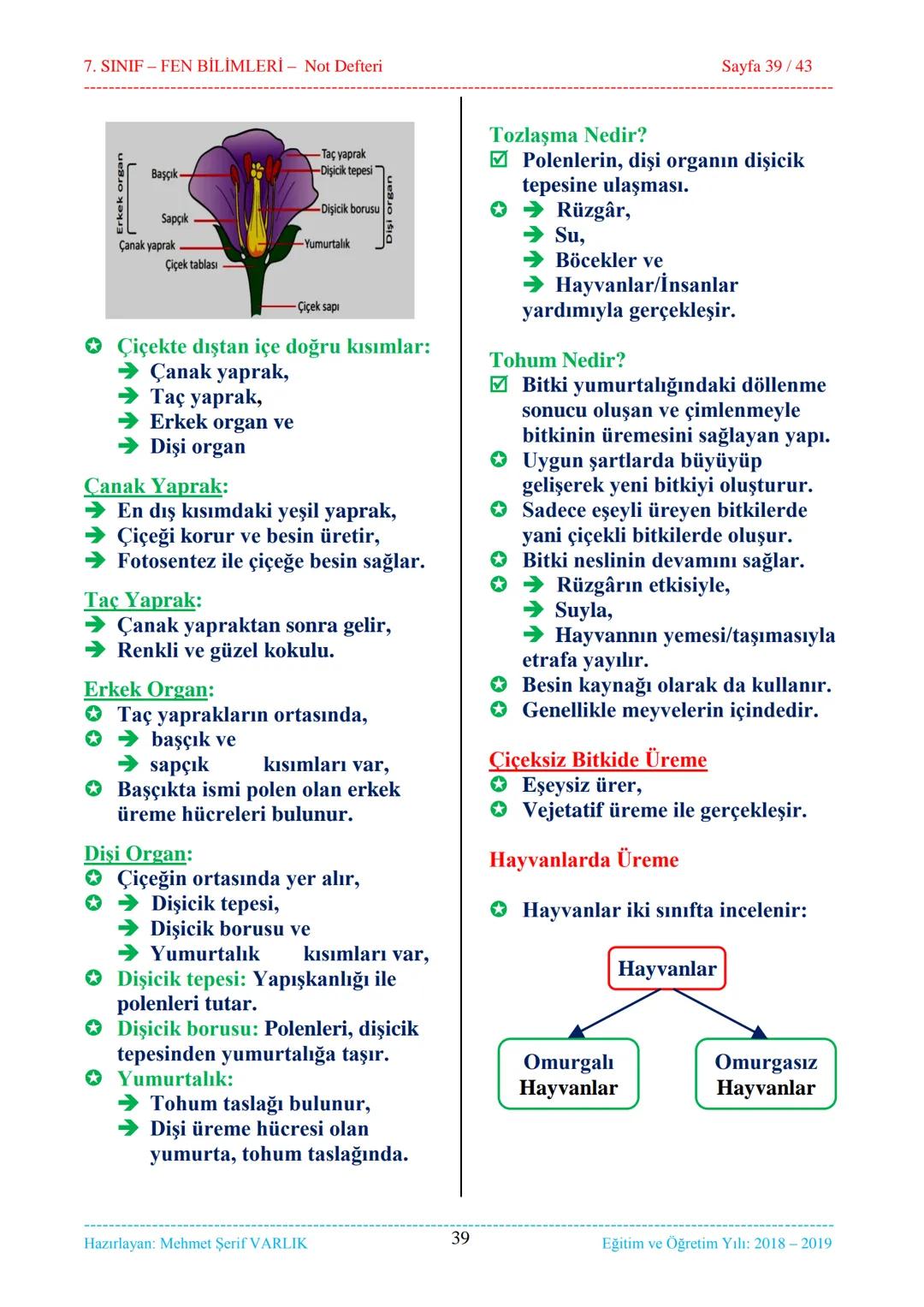 7. SINIF-FEN BİLİMLERİ - Not Defteri
Sayfa 1/43
1. ÜNİTE
Güneş Sistemi ve Ötesi
1. Bölüm........................................
Uzay Ara