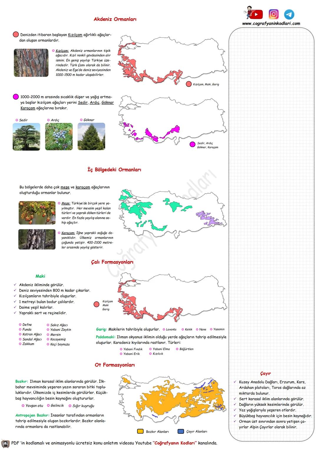 # Coğrafyanın Kodları
Youtube Video Ders Notları
Youtube'un En Büyük Coğrafya Kanalı
# 10.Sınıf --- OCR Start ---
Dünya'nın Tektonik Oluşu