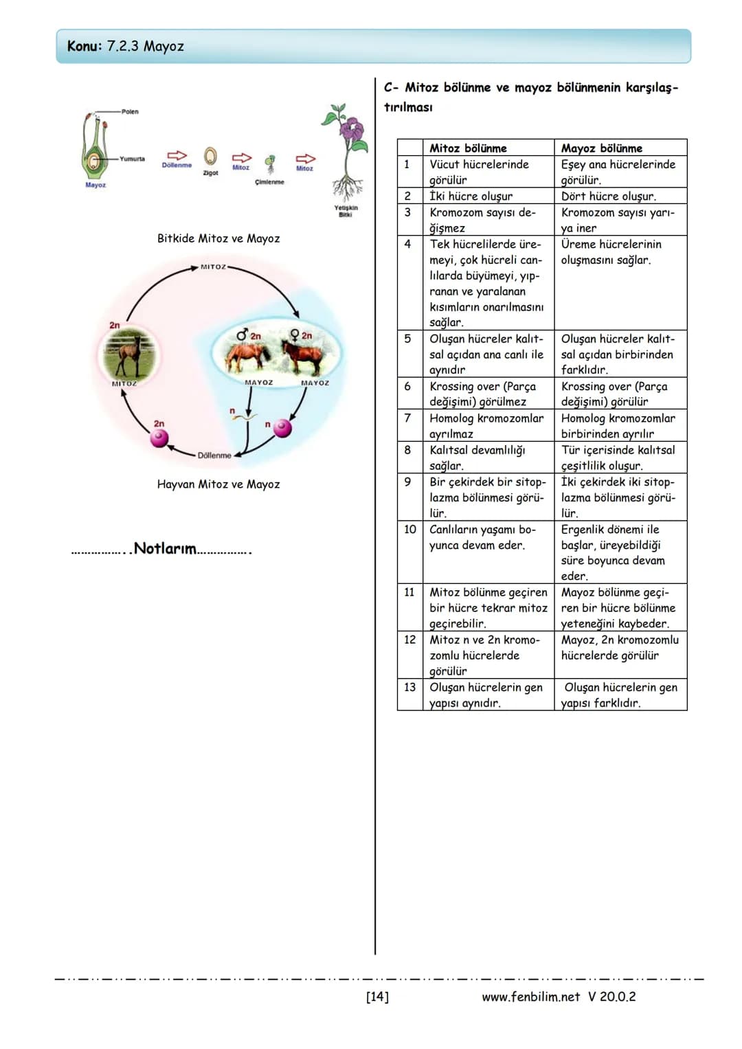 7. Sınıf Fen Bilimleri – 14. sayfa