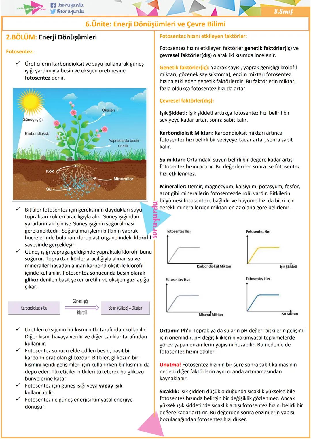 8.sınıf Fen Bilimleri Enerji Dönüşümleri