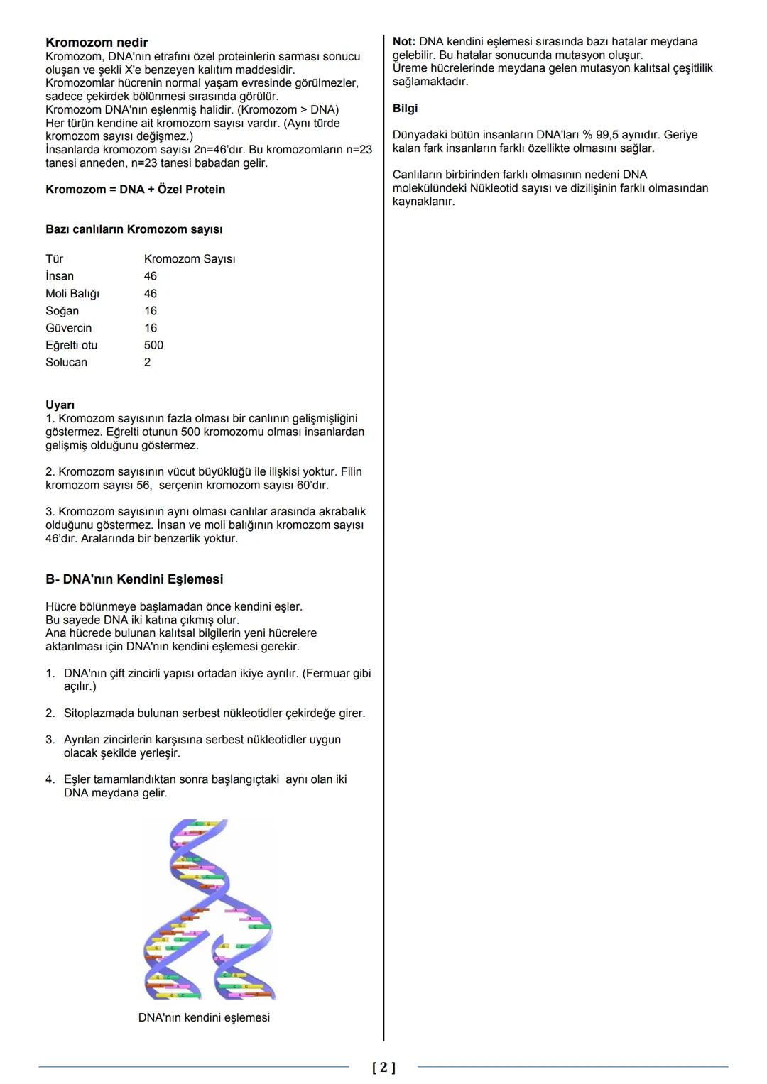 # Fen Bilimleri 8
Konu: DNA ve Genetik Kod
www.fenbilim.net
Insan vücudunda milyarlarca hücre vardır.
Her bir hücre içerisinde kalıtsal bil
