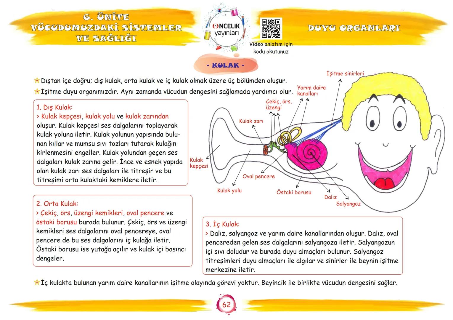 6. Sınıf
Konu Anlatımları
6. Ünite
Vücudumuzdaki Sistemler ve
Sağlığı
Fen Ogrennenn
En Eglomera ve En Velay
EnBasitfen
ŞİRİN ALTINTAŞ