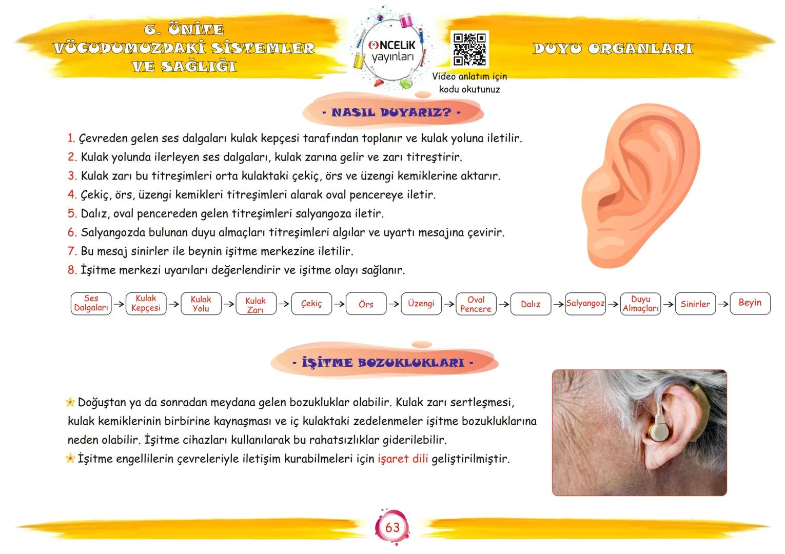 6. Sınıf
Konu Anlatımları
6. Ünite
Vücudumuzdaki Sistemler ve
Sağlığı
Fen Ogrennenn
En Eglomera ve En Velay
EnBasitfen
ŞİRİN ALTINTAŞ