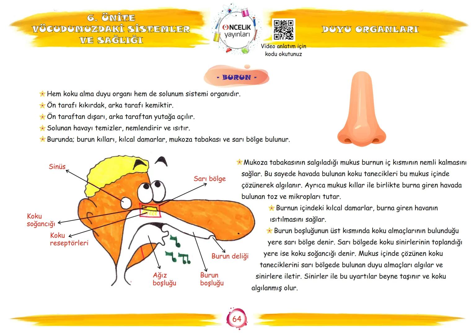 6. Sınıf
Konu Anlatımları
6. Ünite
Vücudumuzdaki Sistemler ve
Sağlığı
Fen Ogrennenn
En Eglomera ve En Velay
EnBasitfen
ŞİRİN ALTINTAŞ
