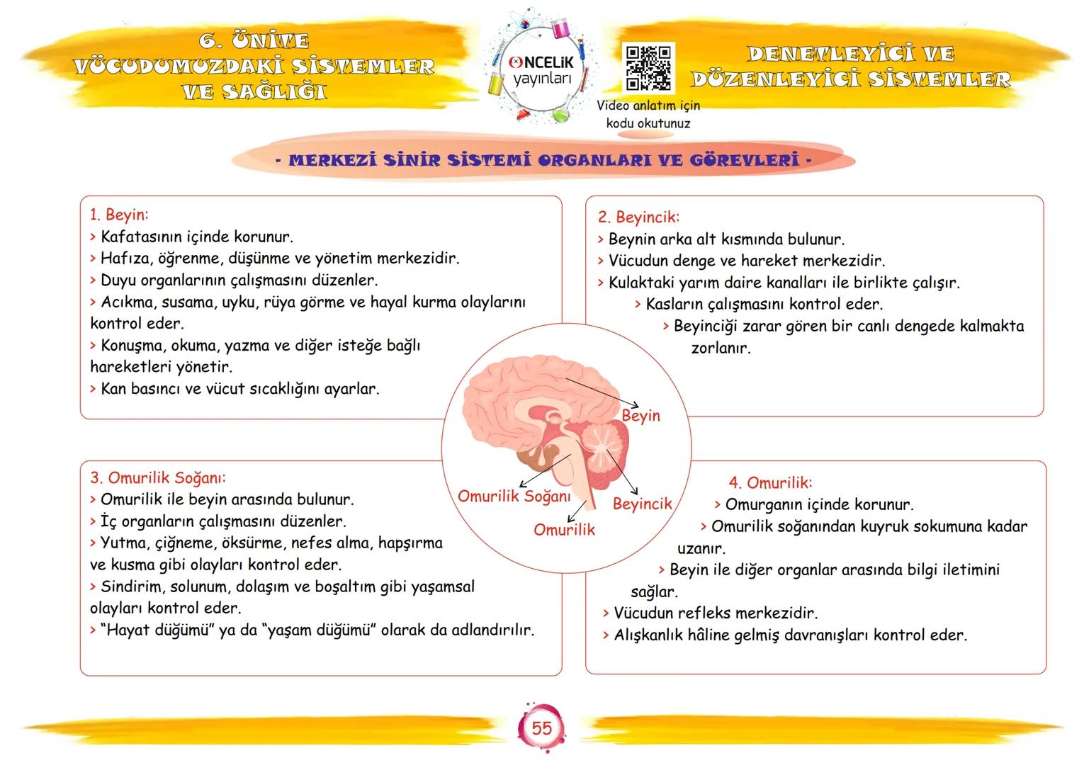 6. Sınıf
Konu Anlatımları
6. Ünite
Vücudumuzdaki Sistemler ve
Sağlığı
Fen Ogrennenn
En Eglomera ve En Velay
EnBasitfen
ŞİRİN ALTINTAŞ