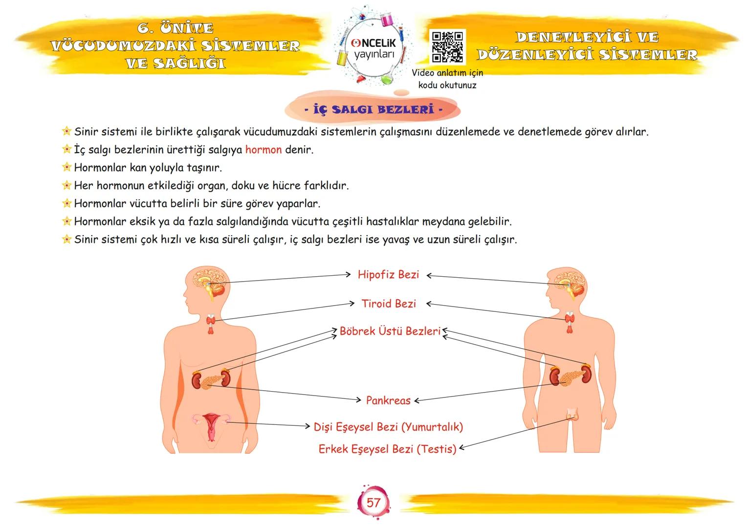 6. Sınıf
Konu Anlatımları
6. Ünite
Vücudumuzdaki Sistemler ve
Sağlığı
Fen Ogrennenn
En Eglomera ve En Velay
EnBasitfen
ŞİRİN ALTINTAŞ