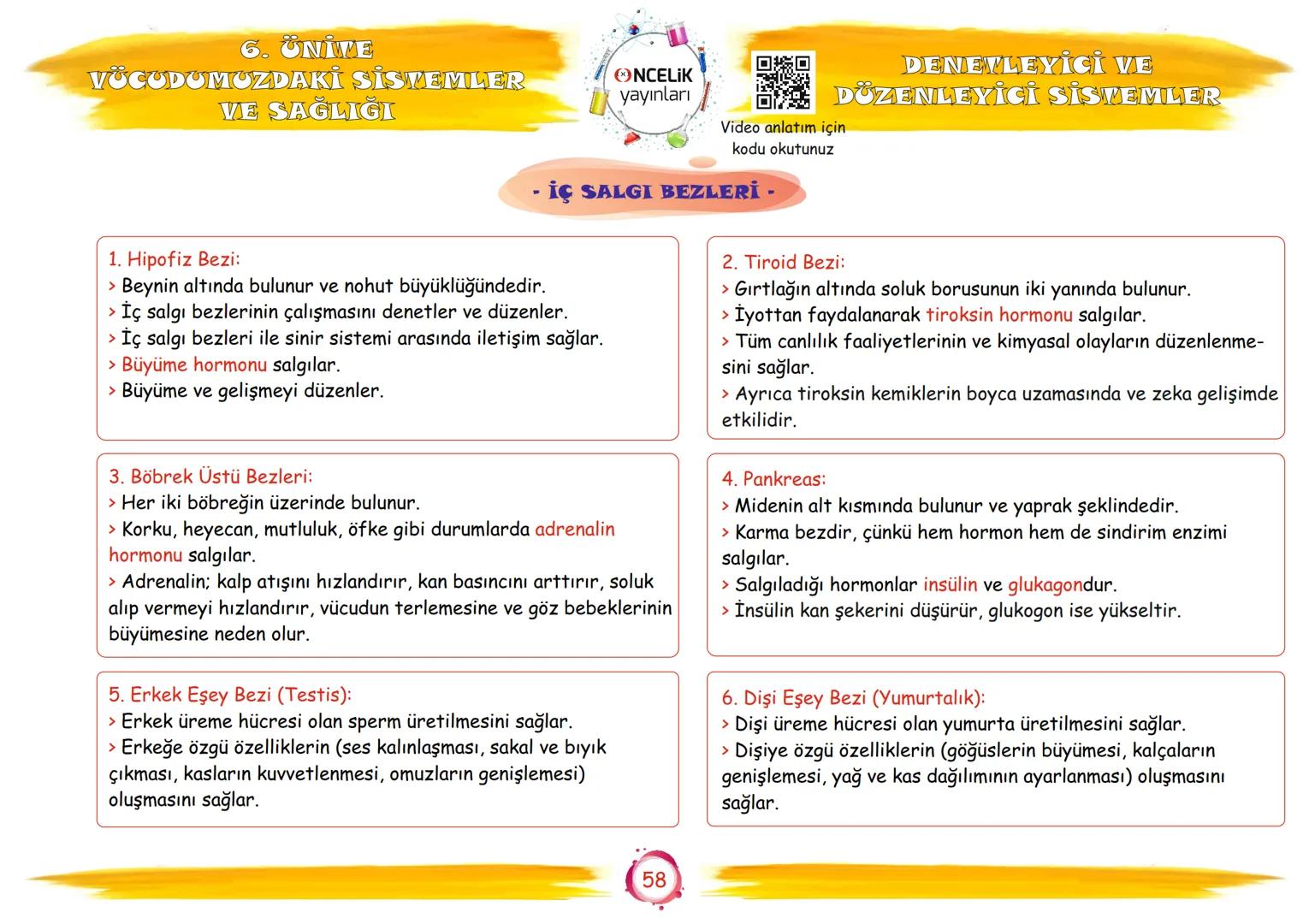 6. Sınıf
Konu Anlatımları
6. Ünite
Vücudumuzdaki Sistemler ve
Sağlığı
Fen Ogrennenn
En Eglomera ve En Velay
EnBasitfen
ŞİRİN ALTINTAŞ