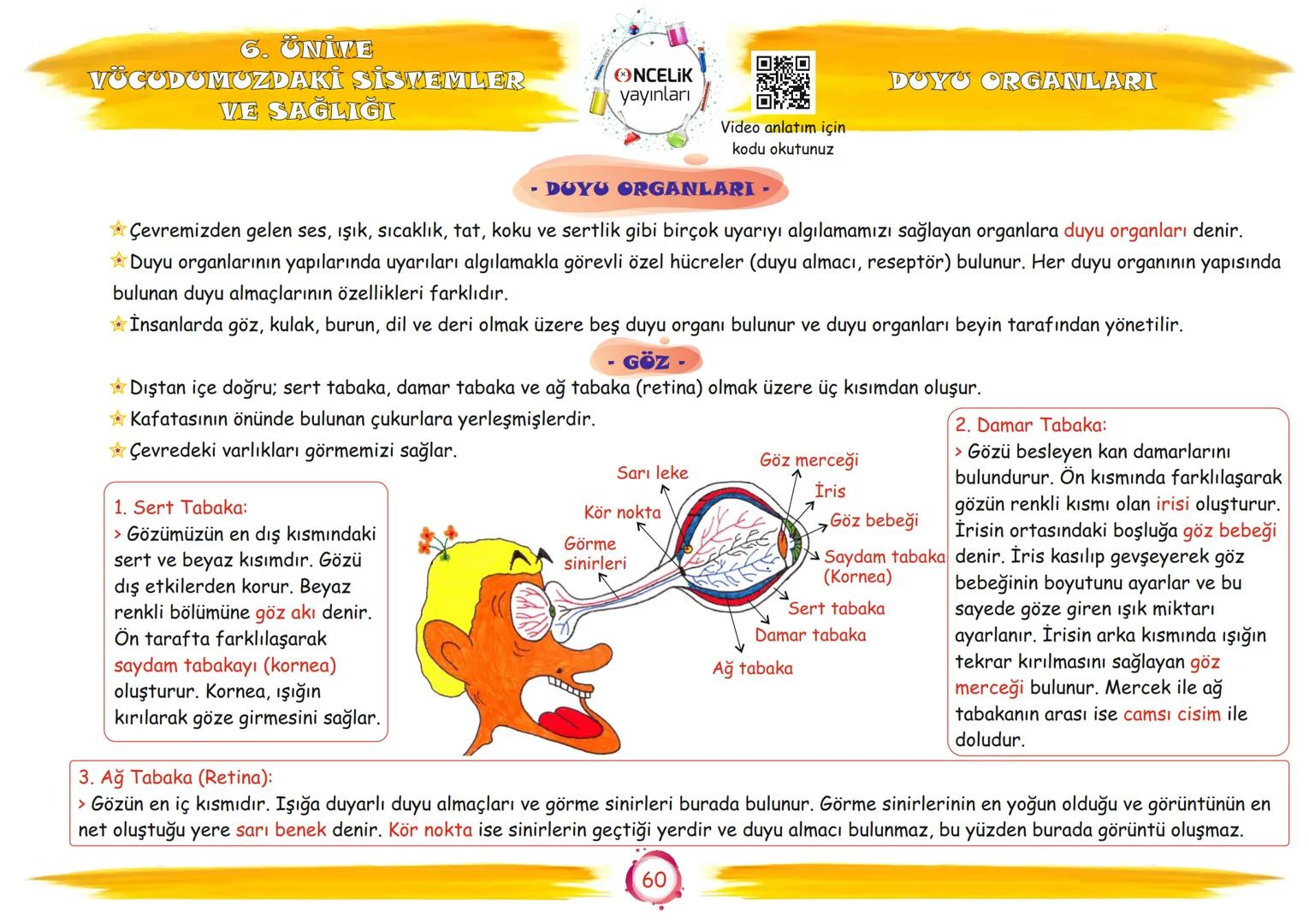 6. Sınıf
Konu Anlatımları
6. Ünite
Vücudumuzdaki Sistemler ve
Sağlığı
Fen Ogrennenn
En Eglomera ve En Velay
EnBasitfen
ŞİRİN ALTINTAŞ