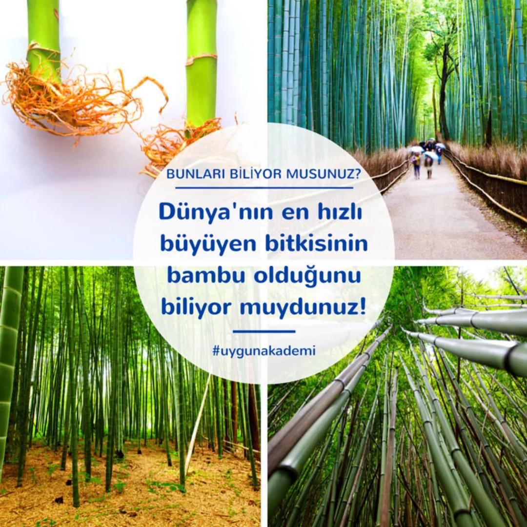 2019-2020 EĞİTİM ÖĞRETİM YILI
TAHRAN TÜRK ORTAOKULU
FEN BİLİMLERİ DERSİ 7. SINIF ÖĞRENCİ ÇALIŞMA KİTAPÇIĞI
1.ÜNİTE
Güneş Sistemi ve Ötes