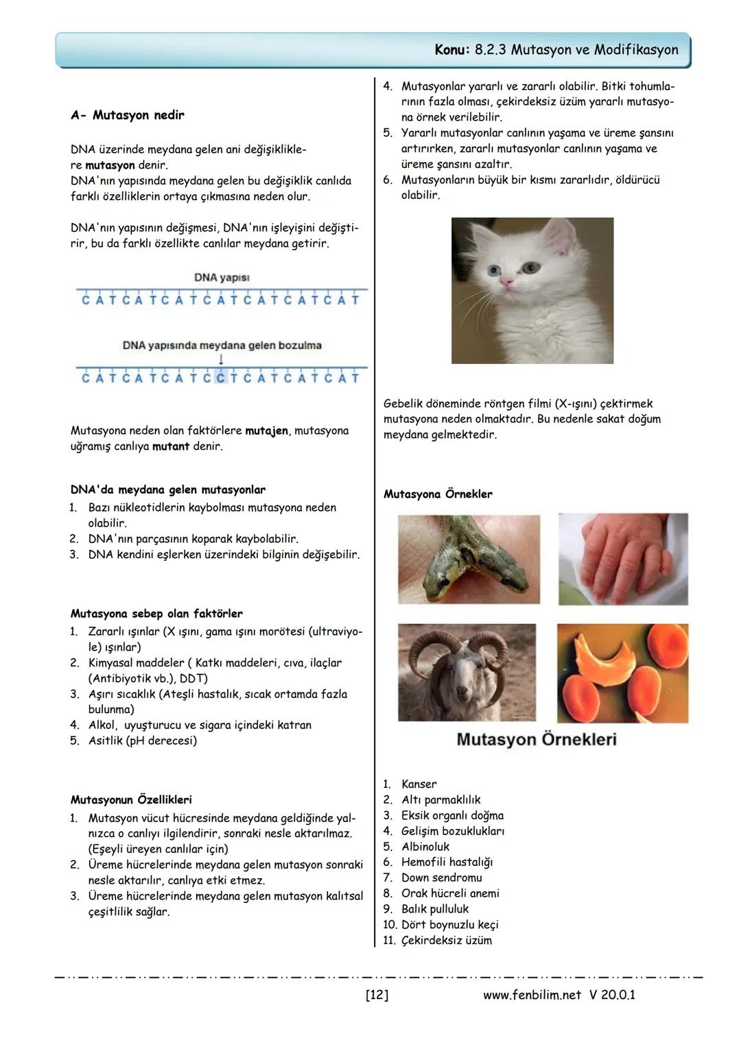 # 8.Sınıf Fen Bilimleri
Ders Notları
Barış ZEREN
Fen Bilimleri Öğretmeni
www.fenbilim.net V 20.0.1 # 1.Ünite: Mevsimler ve İklim
Konu: 8