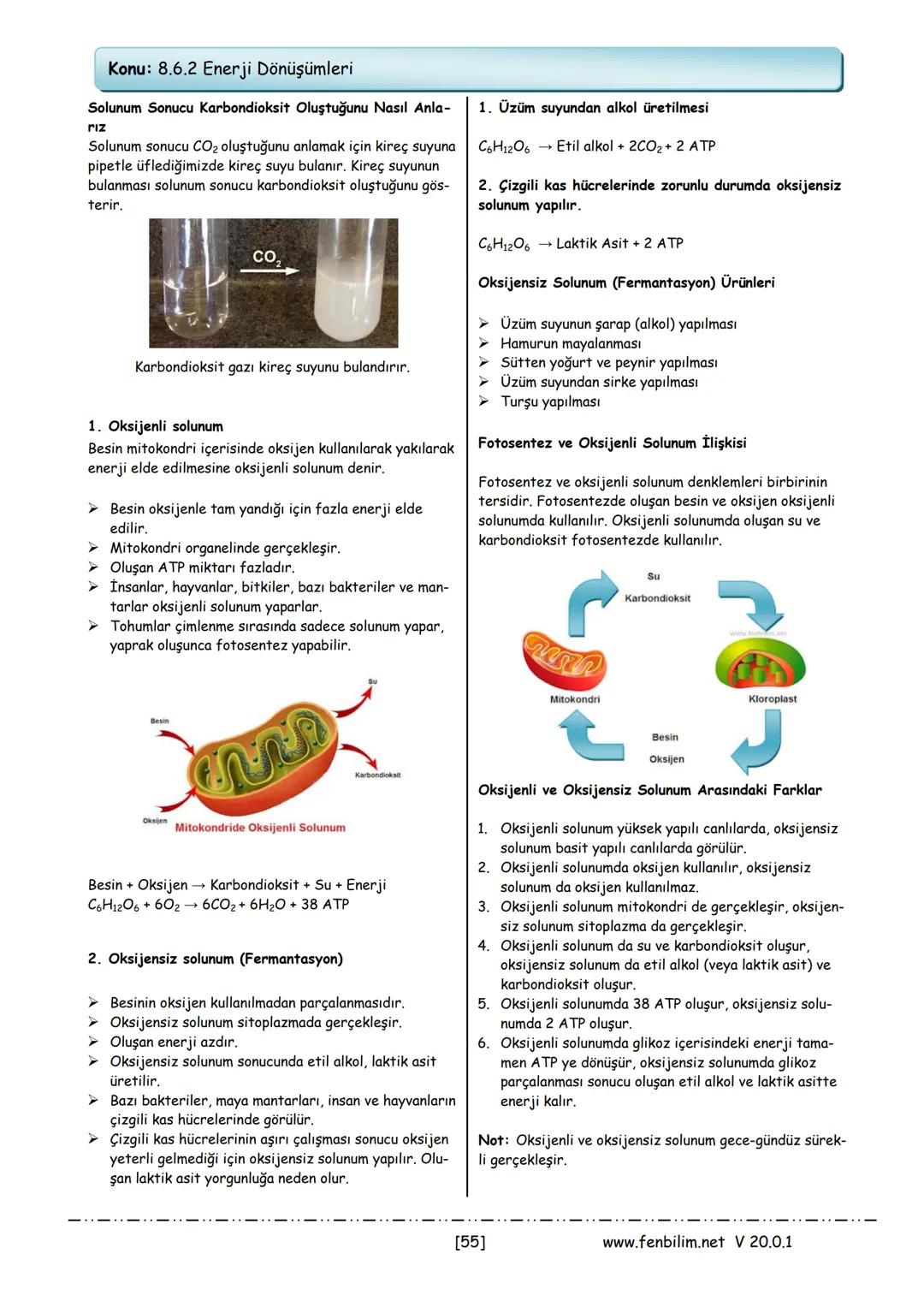 # 8.Sınıf Fen Bilimleri
Ders Notları
Barış ZEREN
Fen Bilimleri Öğretmeni
www.fenbilim.net V 20.0.1 # 1.Ünite: Mevsimler ve İklim
Konu: 8