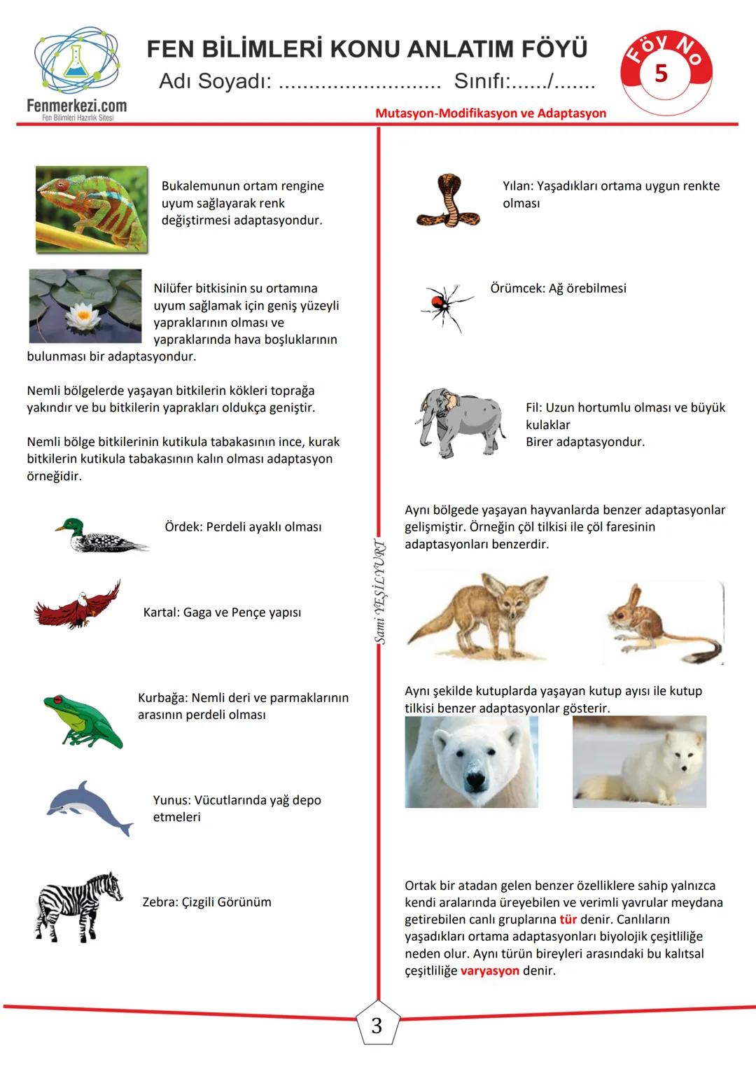 # FEN BİLİMLERİ KONU ANLATIM FÖYÜ
foy No
Adı Soyadı:
Sınıfı:....../.
Fenmerkezi.com
Mutasyon
Kromozom, gen, DNA gibi kalıtım molekülleri üze