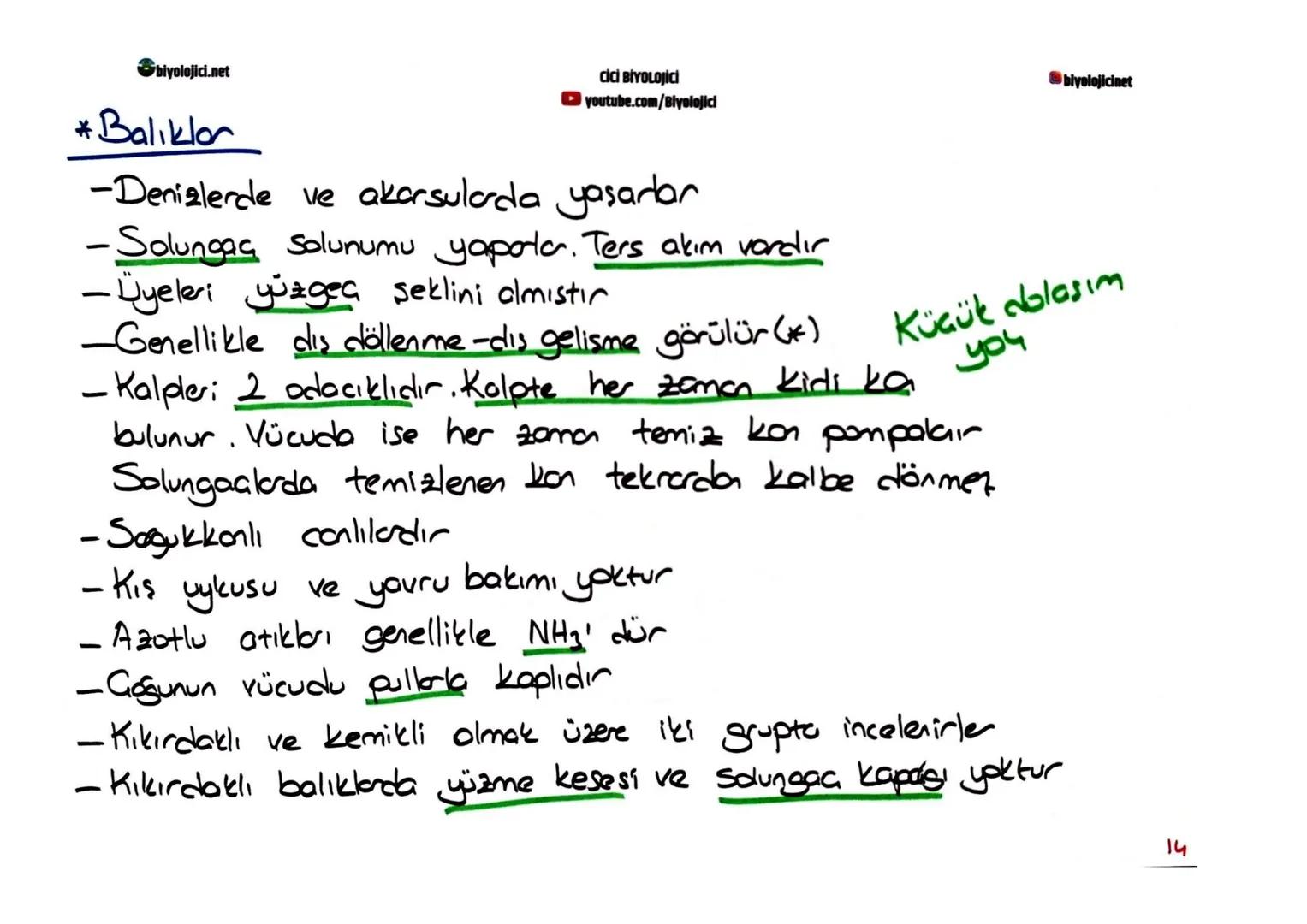 biyolojici.net
CİCİ BİYOLOJİCİ
youtube.com/Biyolojici
@biyolojicinet
# OMURGALI HAYVANLAR
* Omurgalıları omurgasızlarda ayıra en temel öze