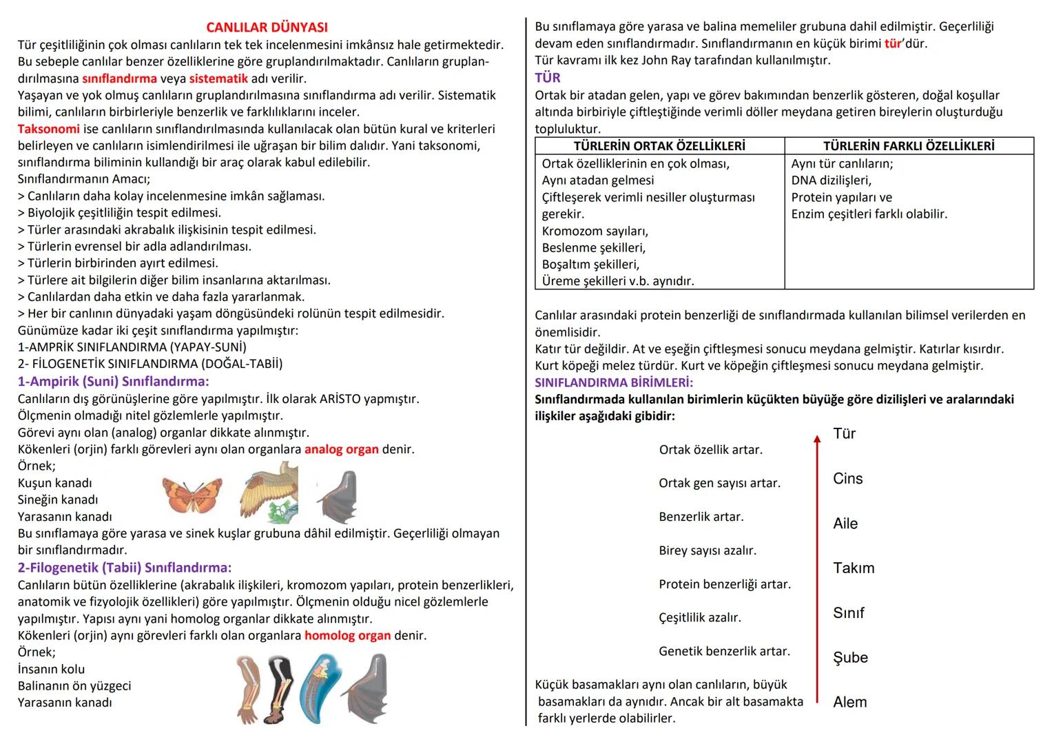 --- OCR Start ---
CANLILAR DÜNYASI
Tür çeşitliliğinin çok olması canlıların tek tek incelenmesini imkânsız hale getirmektedir.
Bu sebeple ca