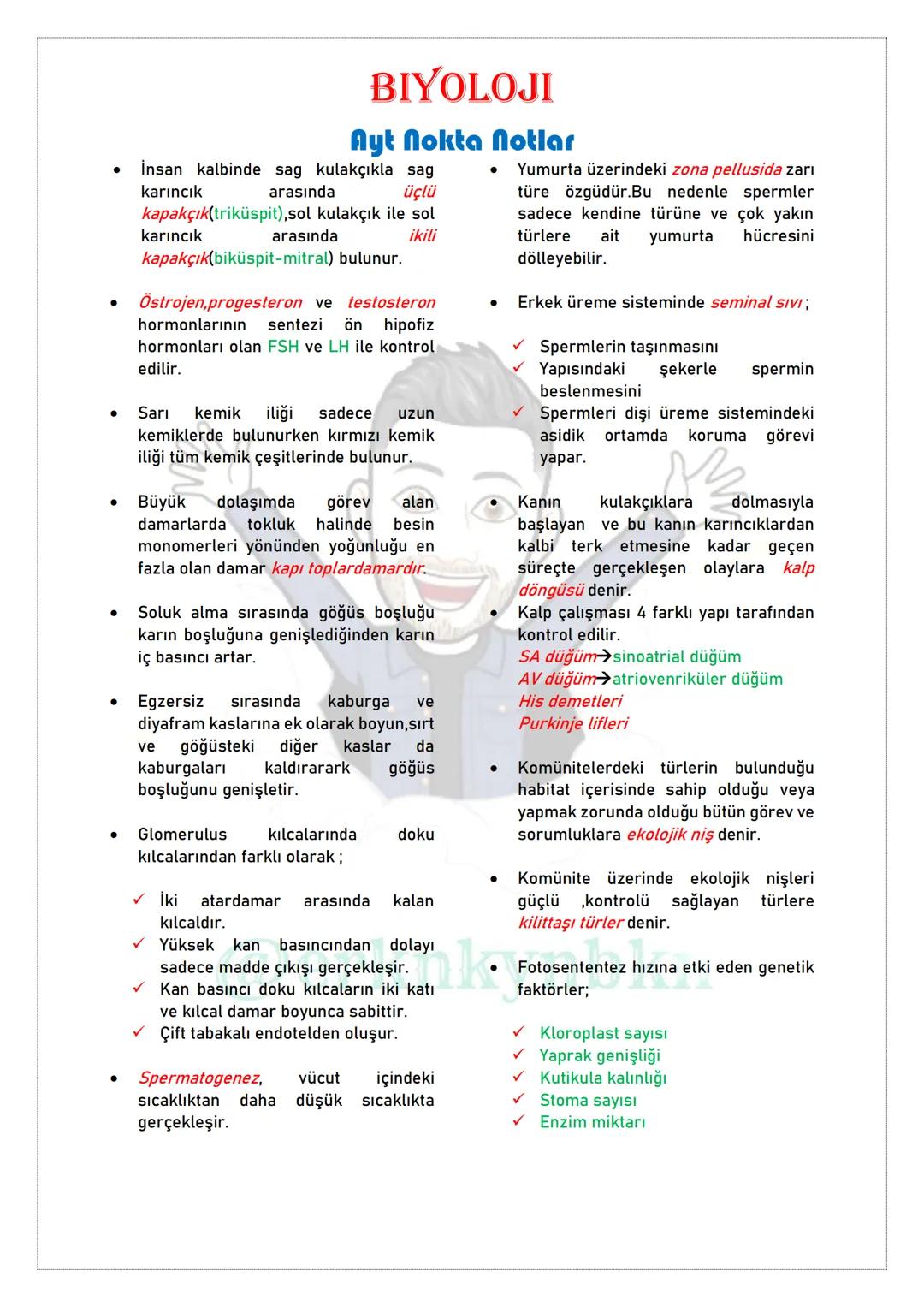 # Biyoloji
## NOKTA NOTLAR
### TYT
@erknkynbkn # BİYOLOJİ
## NOKTA NOTLAR
### TYT
@erknkynbkn # BIYOLOJİ
## Tyt Nokta Notlar
* Sünge