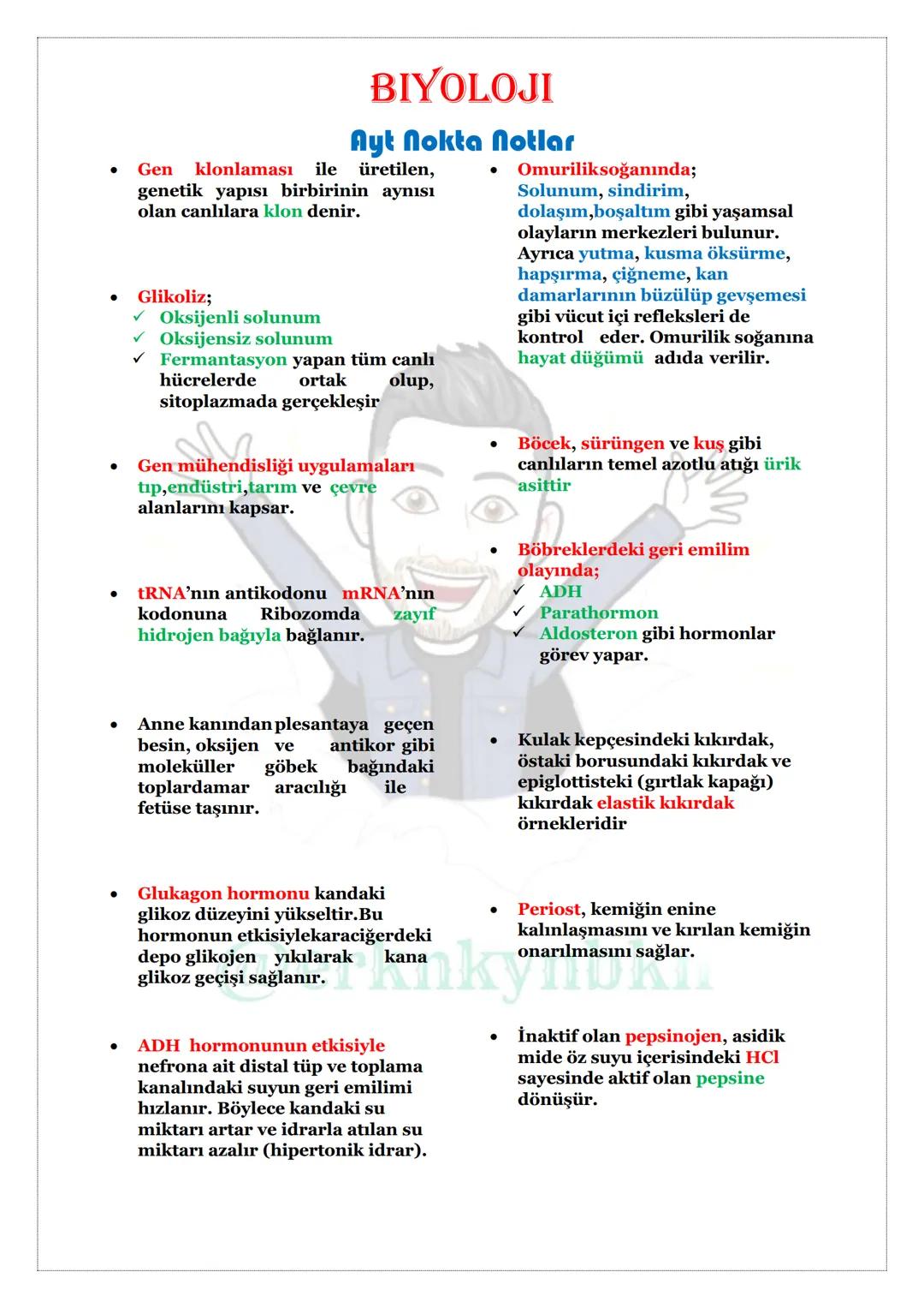 # Biyoloji
## NOKTA NOTLAR
### TYT
@erknkynbkn # BİYOLOJİ
## NOKTA NOTLAR
### TYT
@erknkynbkn # BIYOLOJİ
## Tyt Nokta Notlar
* Sünge