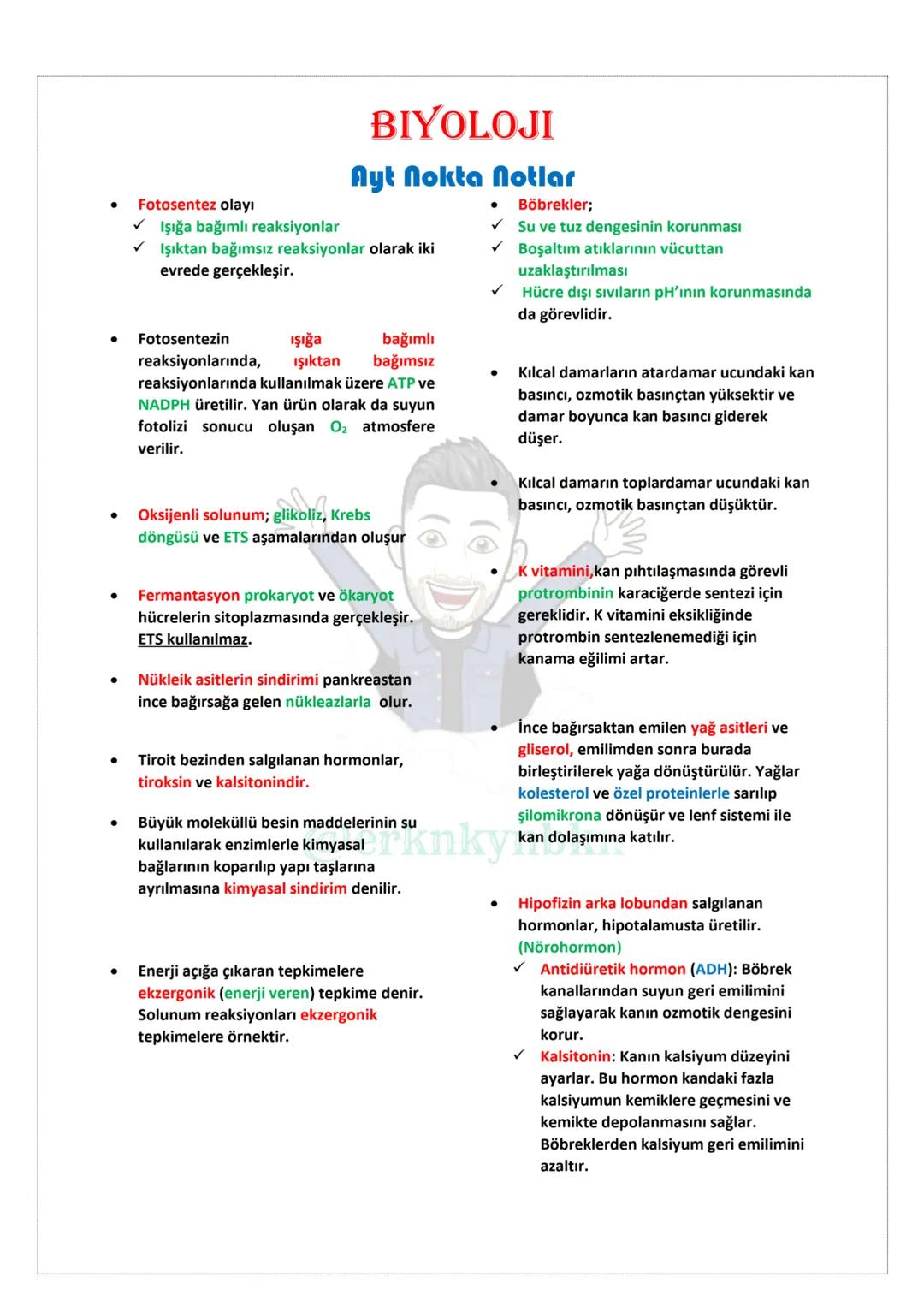 # Biyoloji
## NOKTA NOTLAR
### TYT
@erknkynbkn # BİYOLOJİ
## NOKTA NOTLAR
### TYT
@erknkynbkn # BIYOLOJİ
## Tyt Nokta Notlar
* Sünge