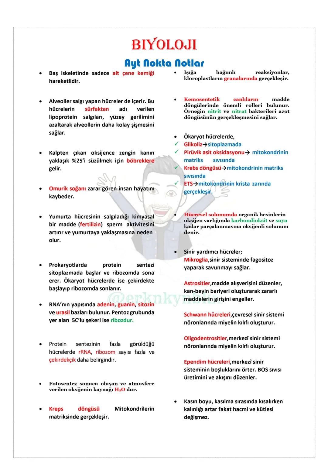 # Biyoloji
## NOKTA NOTLAR
### TYT
@erknkynbkn # BİYOLOJİ
## NOKTA NOTLAR
### TYT
@erknkynbkn # BIYOLOJİ
## Tyt Nokta Notlar
* Sünge