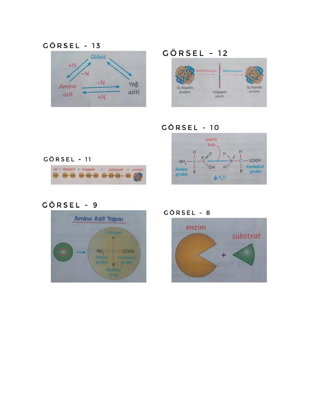 Organik bileşiklerden; Karbonhidratlar, Lipitler, Proteinler