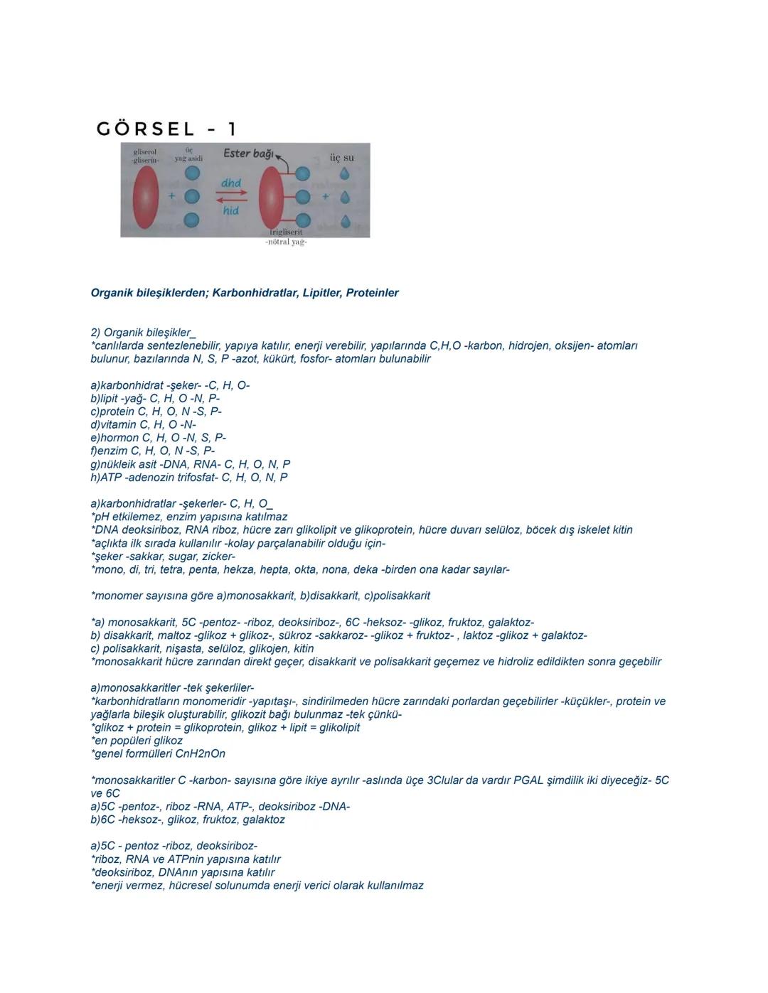 # GÖRSEL - 13
Glikoz
+N
-N
Amino
asit
-N
Yağ
asiti
+N
# GÖRSEL - 12
Denatürasyon
Renatürasyon
Üç boyutlu
protein
Polipeptit
zinciri
Üç boyut