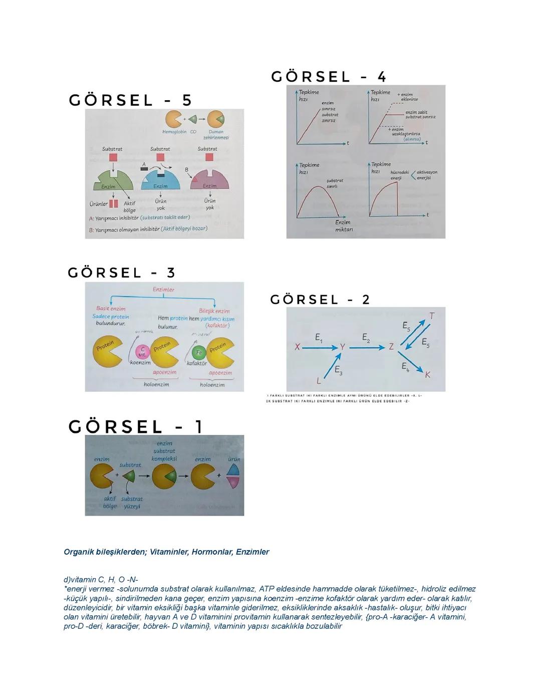 Organik bileşiklerden; Vitaminler, Hormonlar, Enzimler
